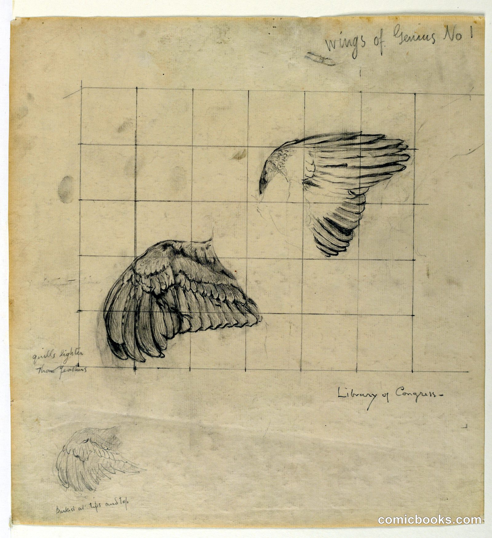 Study for 'Wings of Genius No. 1' by Kenyon Cox, American, 1856–1919