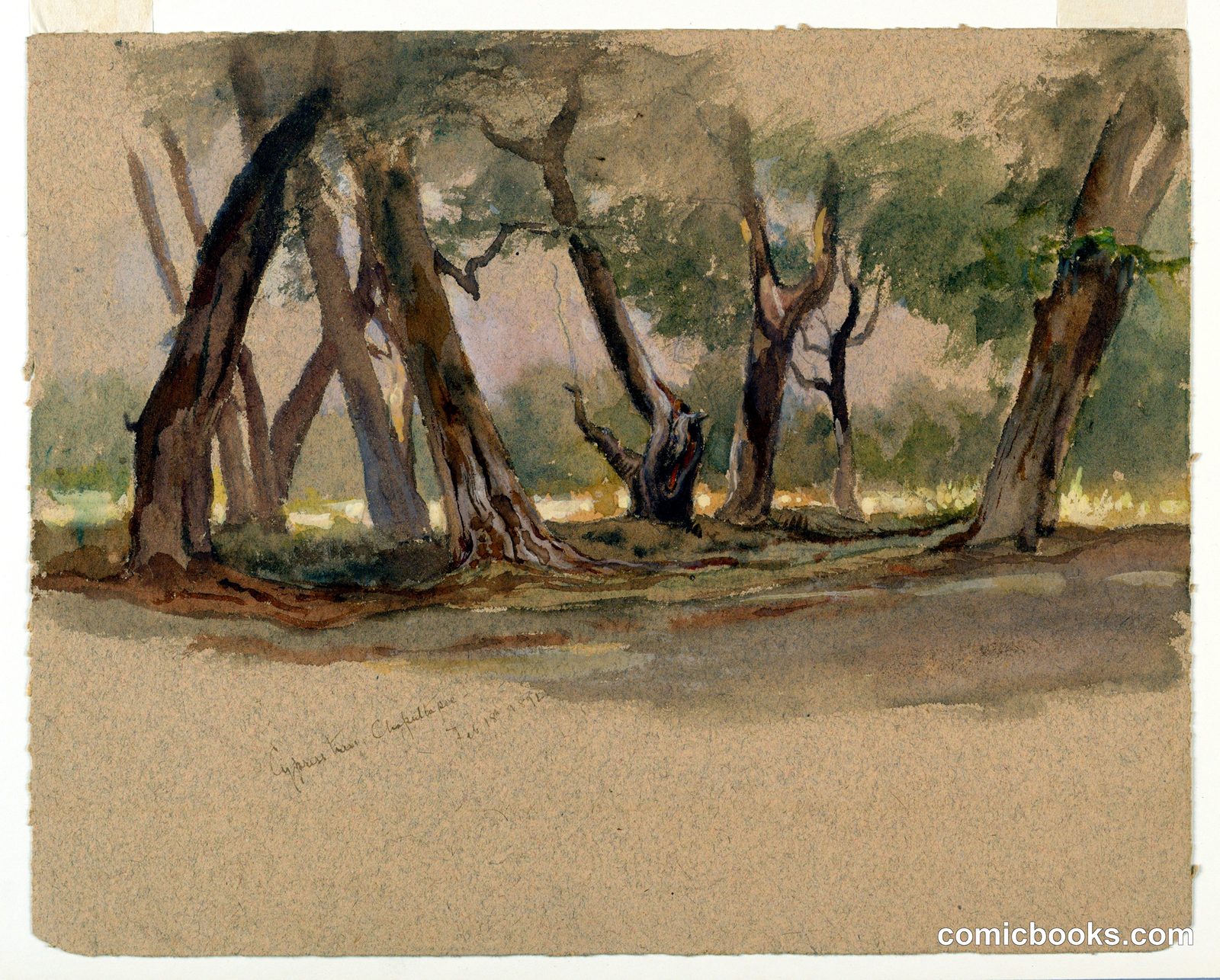 Cypress Trees, Chapultepec, Mexico by Samuel Colman, American, 1832–1920
