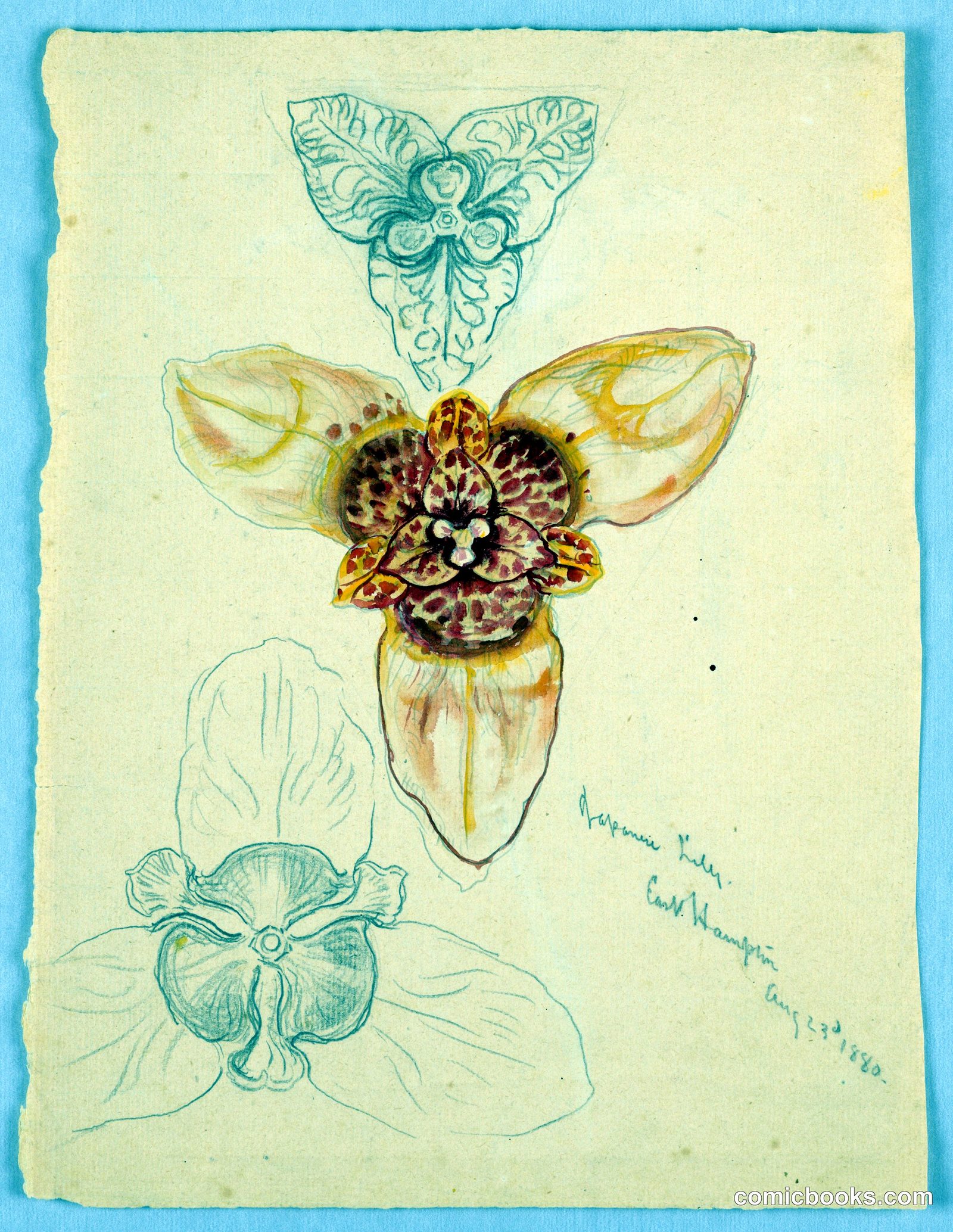 Japanese Lily, East Hampton by Samuel Colman, American, 1832–1920