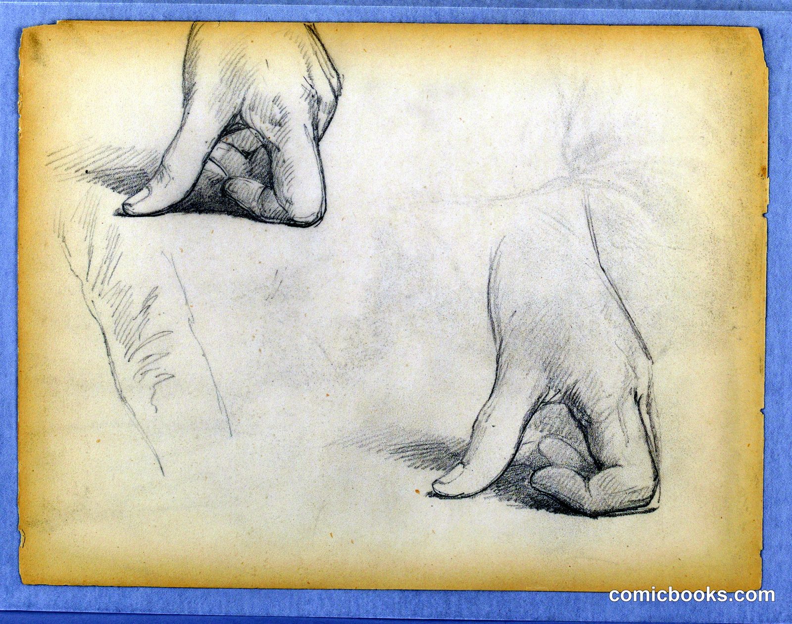 Study of a Left Hand by Daniel Huntington, American, 1816–1906