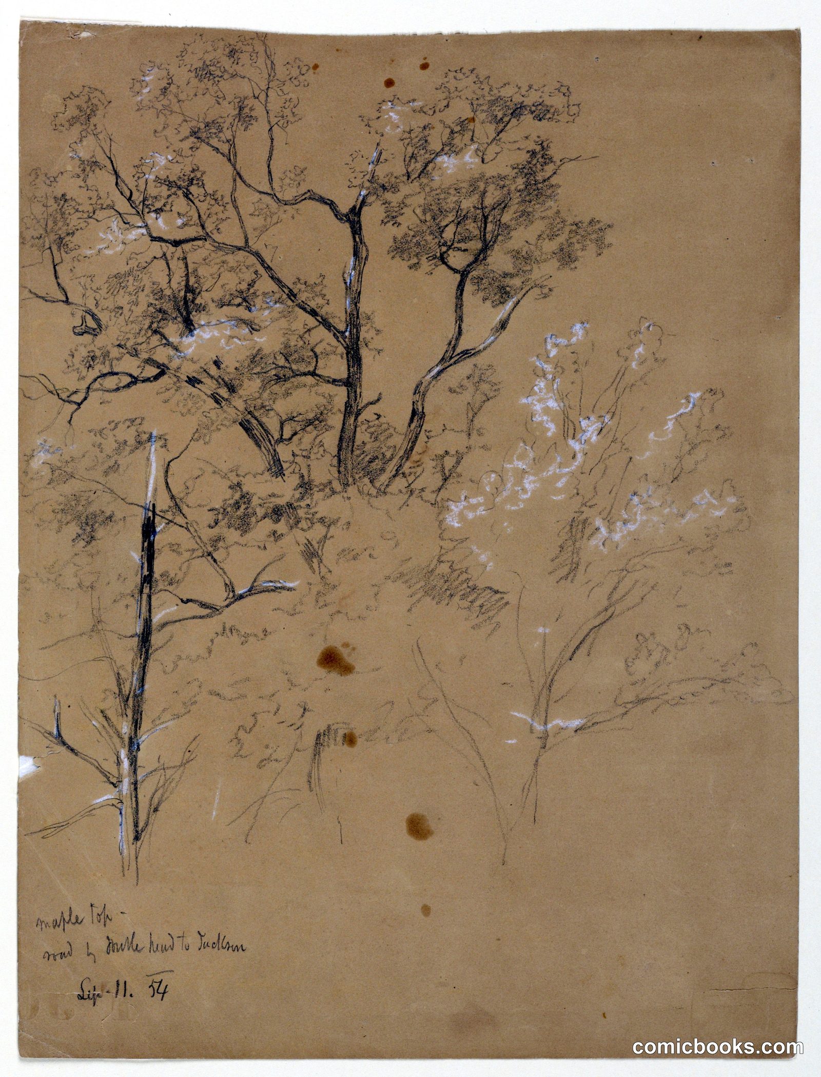 Maple Top on Road to Jackson, New Hampshire by Daniel Huntington, American, 1816–1906