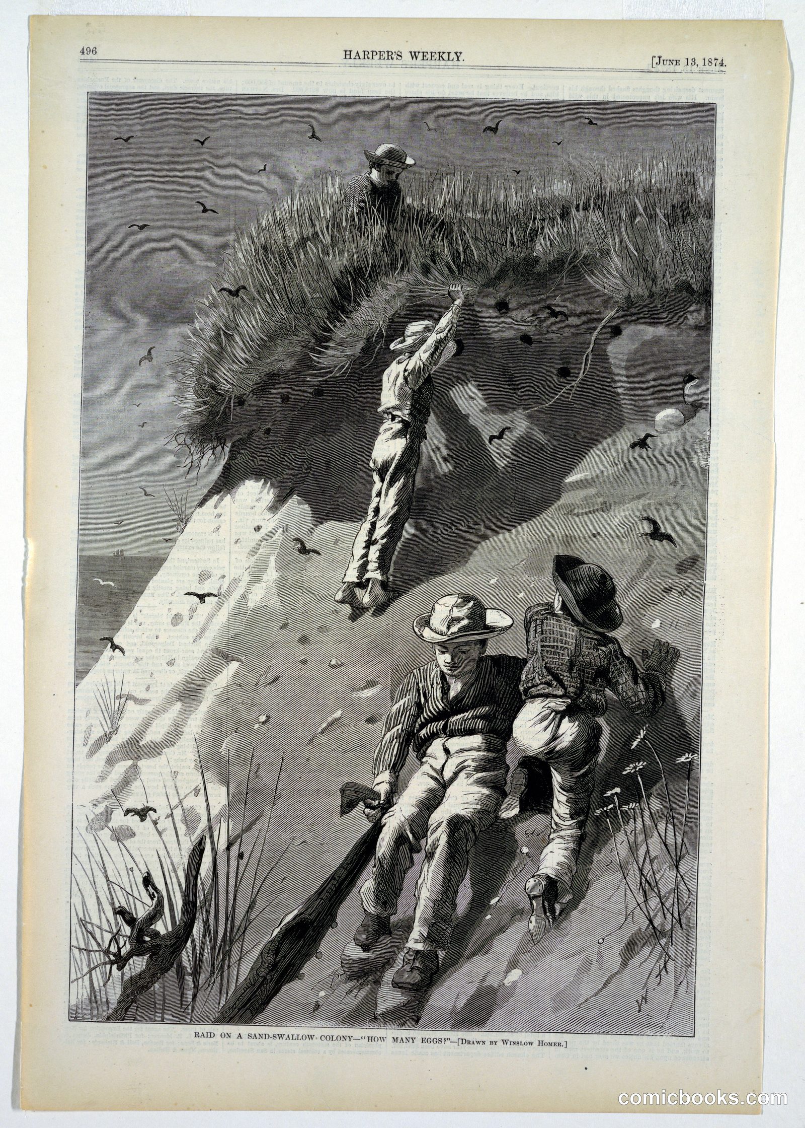 Raid on a Sand-Swallow Colony – 'How Many Eggs?' by Winslow Homer, American, 1836–1910