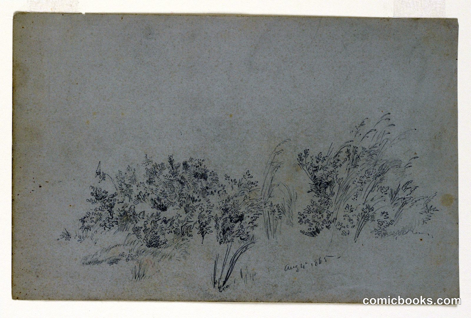 Study of Foliage by William Trost Richards, American, 1833–1905