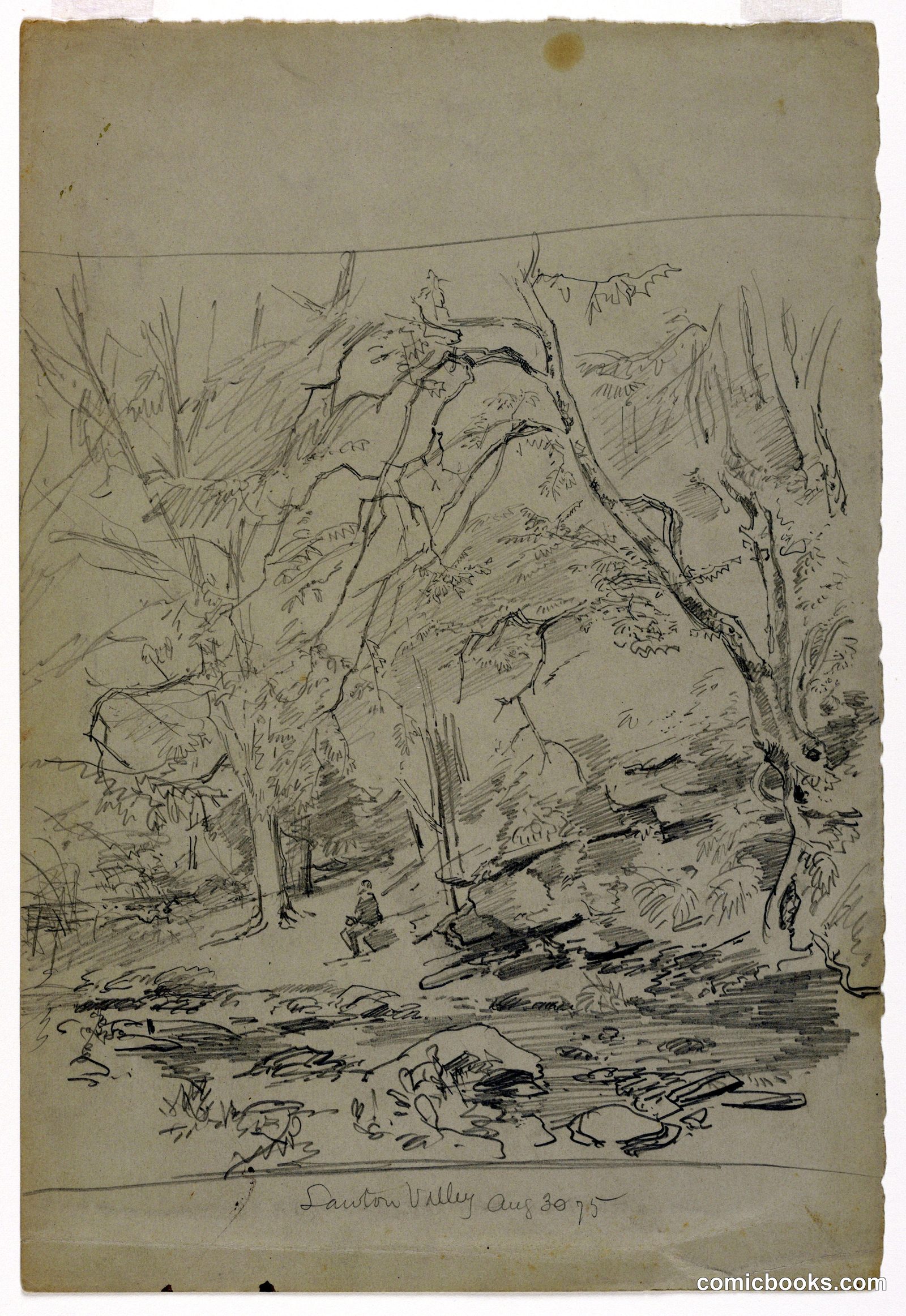 Study of Landscape, Lawton Valley, Rhode Island by William Trost Richards, American, 1833–1905