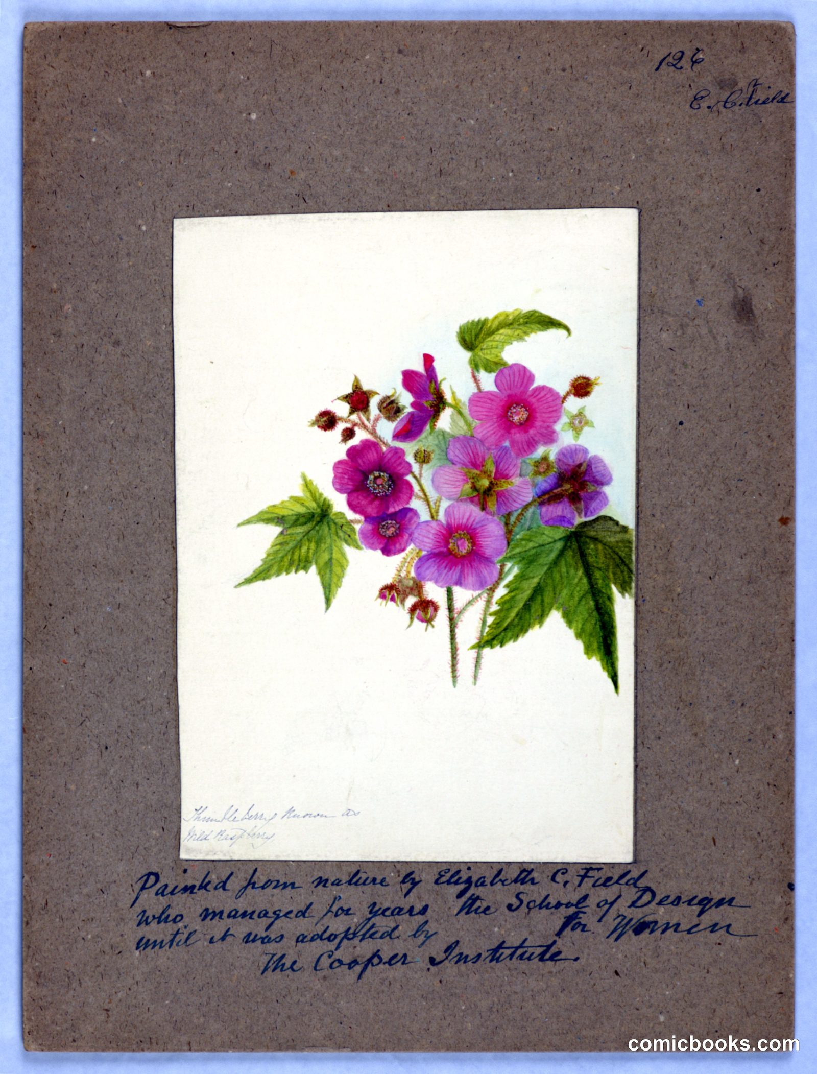 Thimbleberry by Elizabeth C. Field