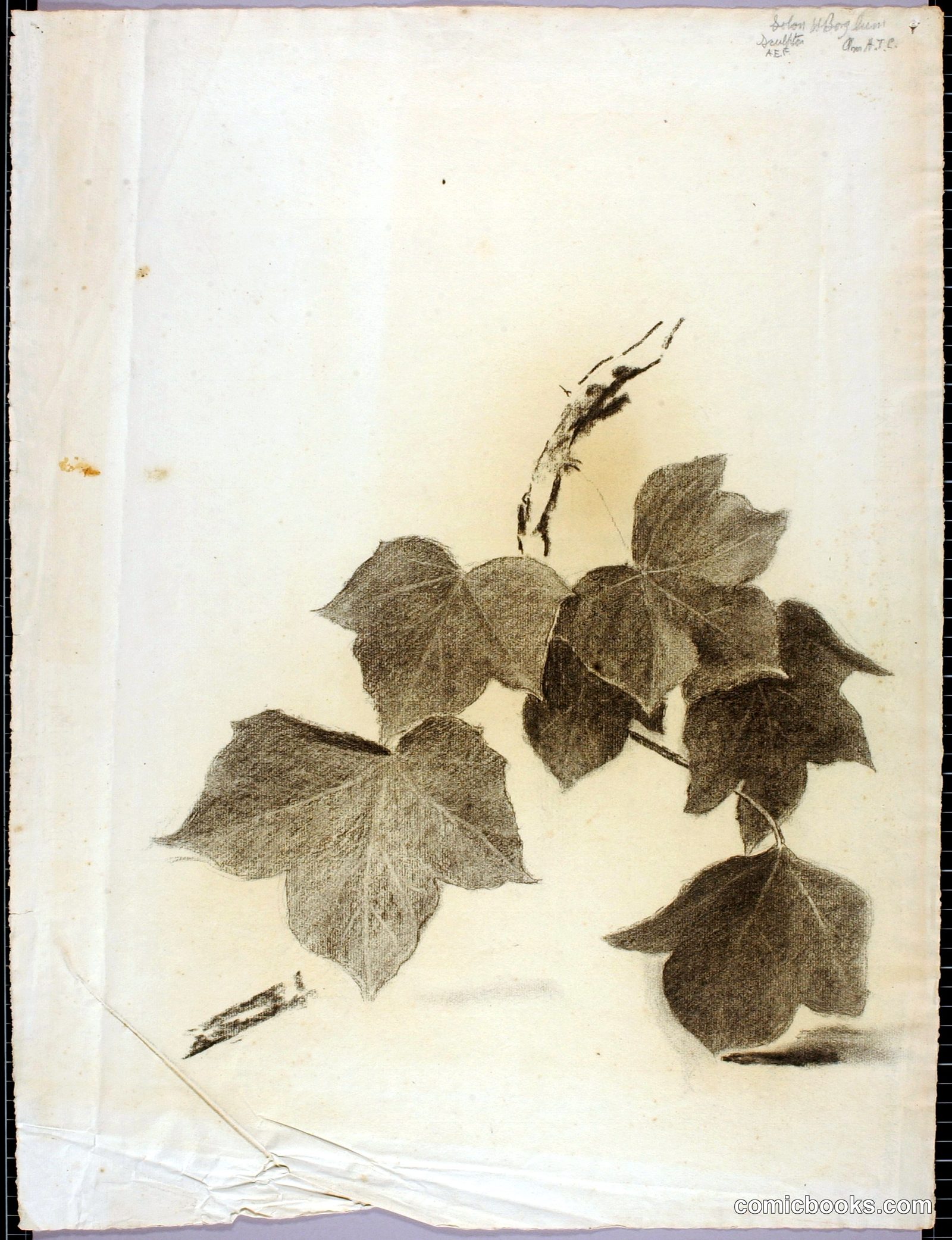 Leaves by Solon H. Borglum, born Ogden, UT 1868-died Stamford, CT 1922