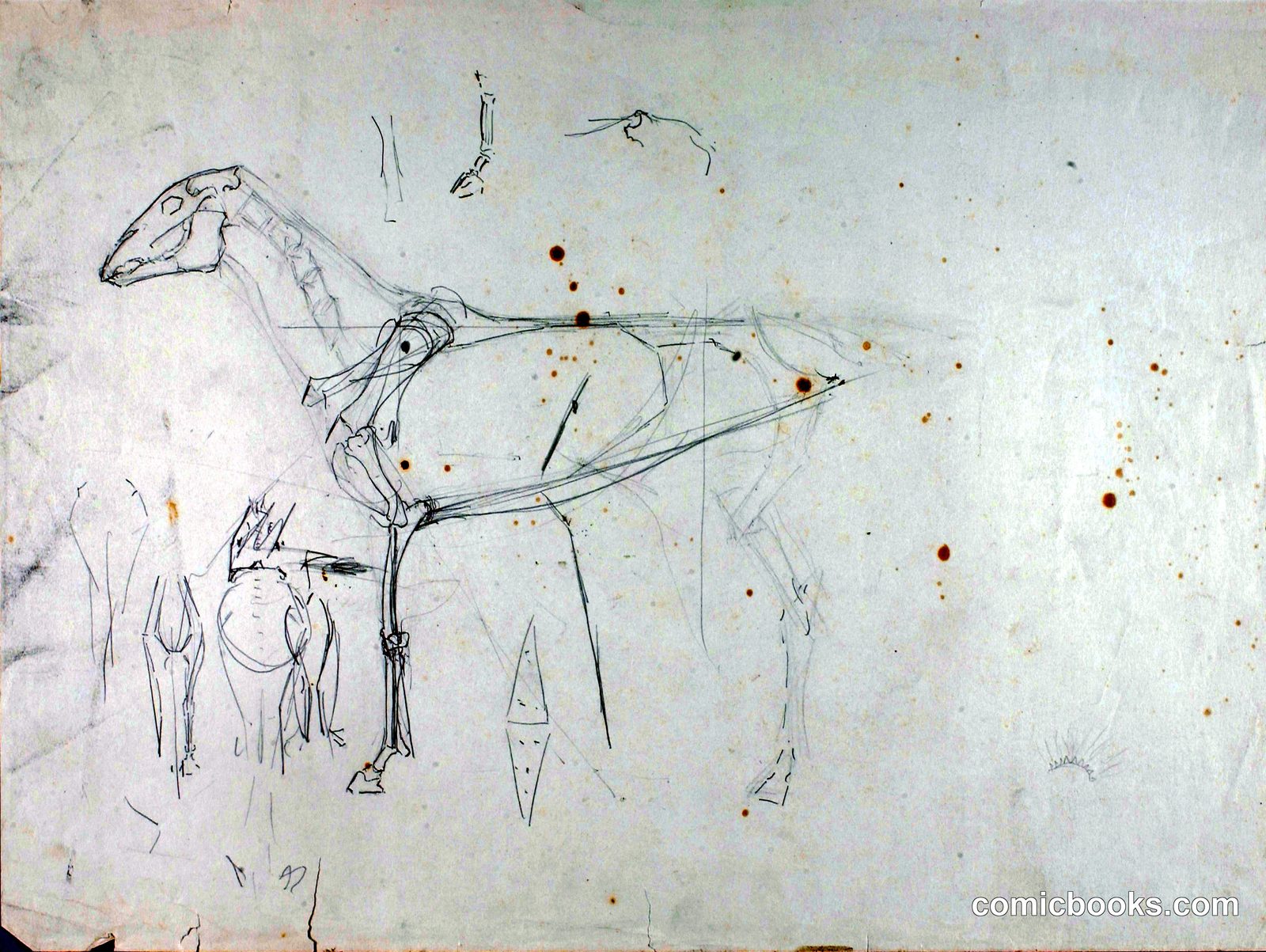 Horse Study by Solon H. Borglum, born Ogden, UT 1868-died Stamford, CT 1922
