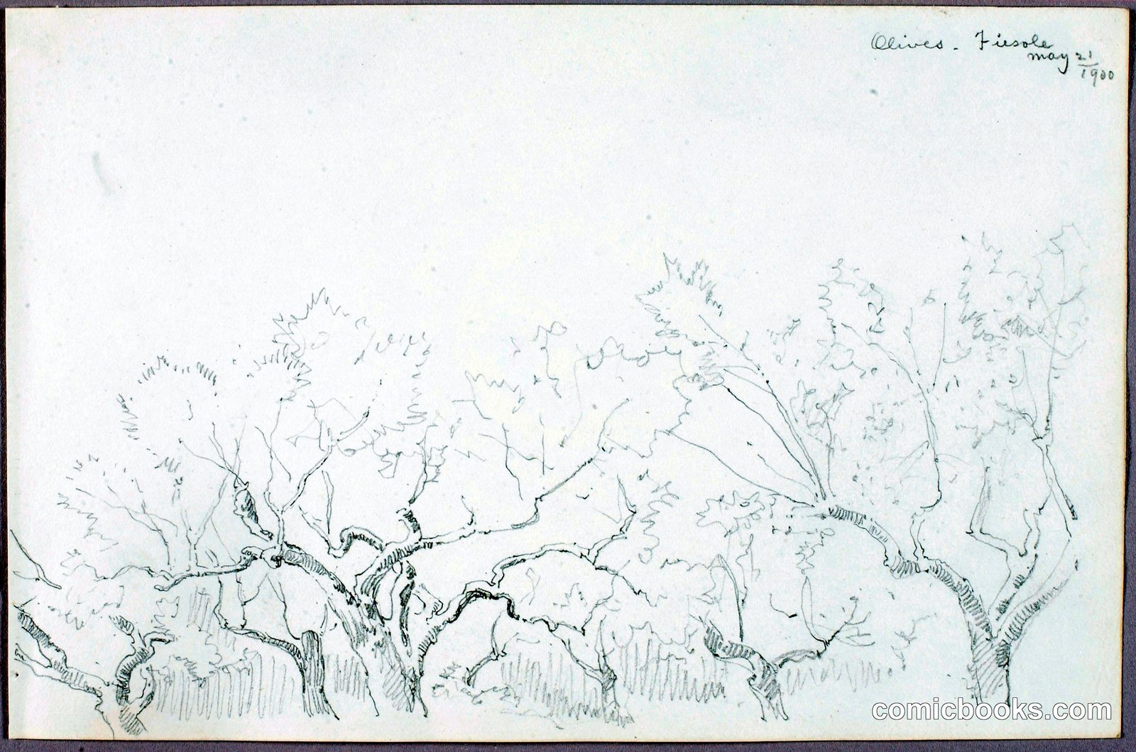 Olives, Fiesole by George Elbert Burr, born Monroe Falls, OH 1859-died Phoenix, AZ 1939