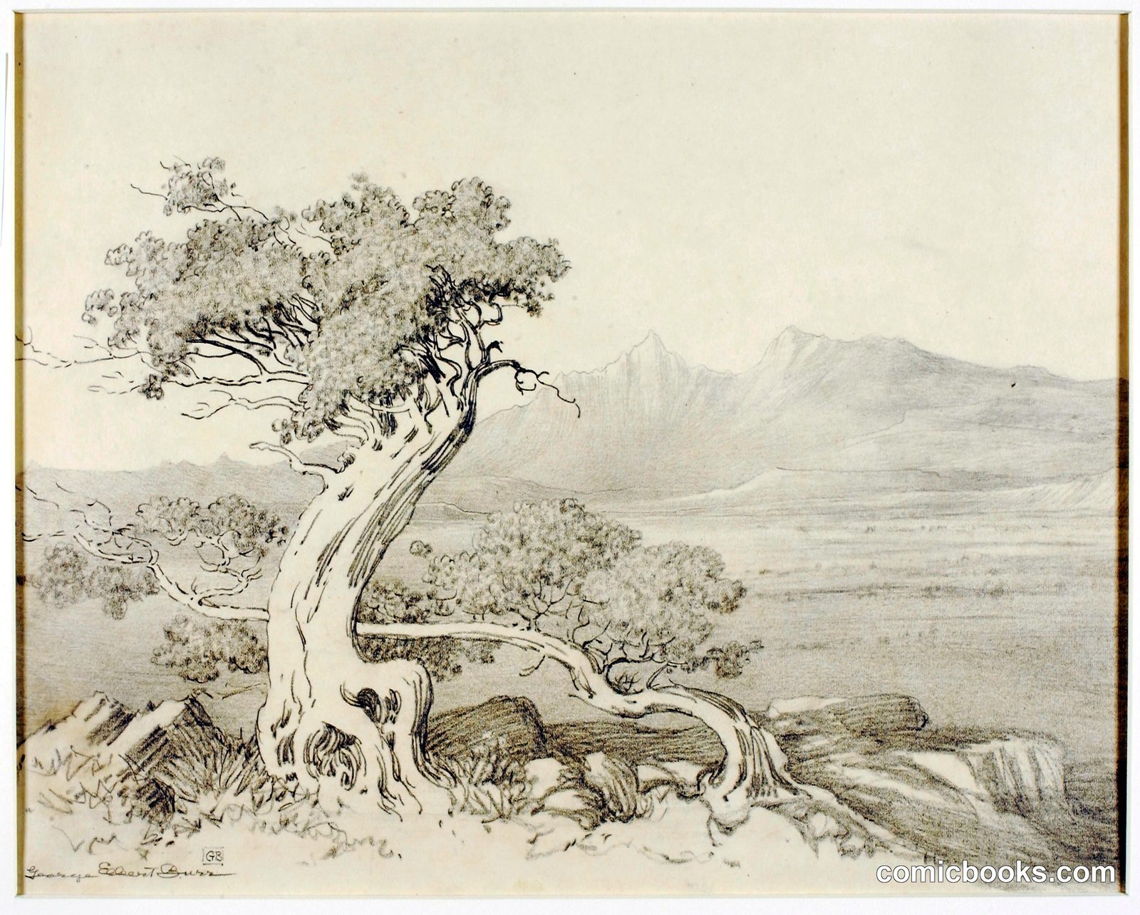 Untitled (Transfer Drawing for Old Cedars and Spanish Peaks) by George Elbert Burr, born Monroe Falls, OH 1859-died Phoenix, AZ 1939
