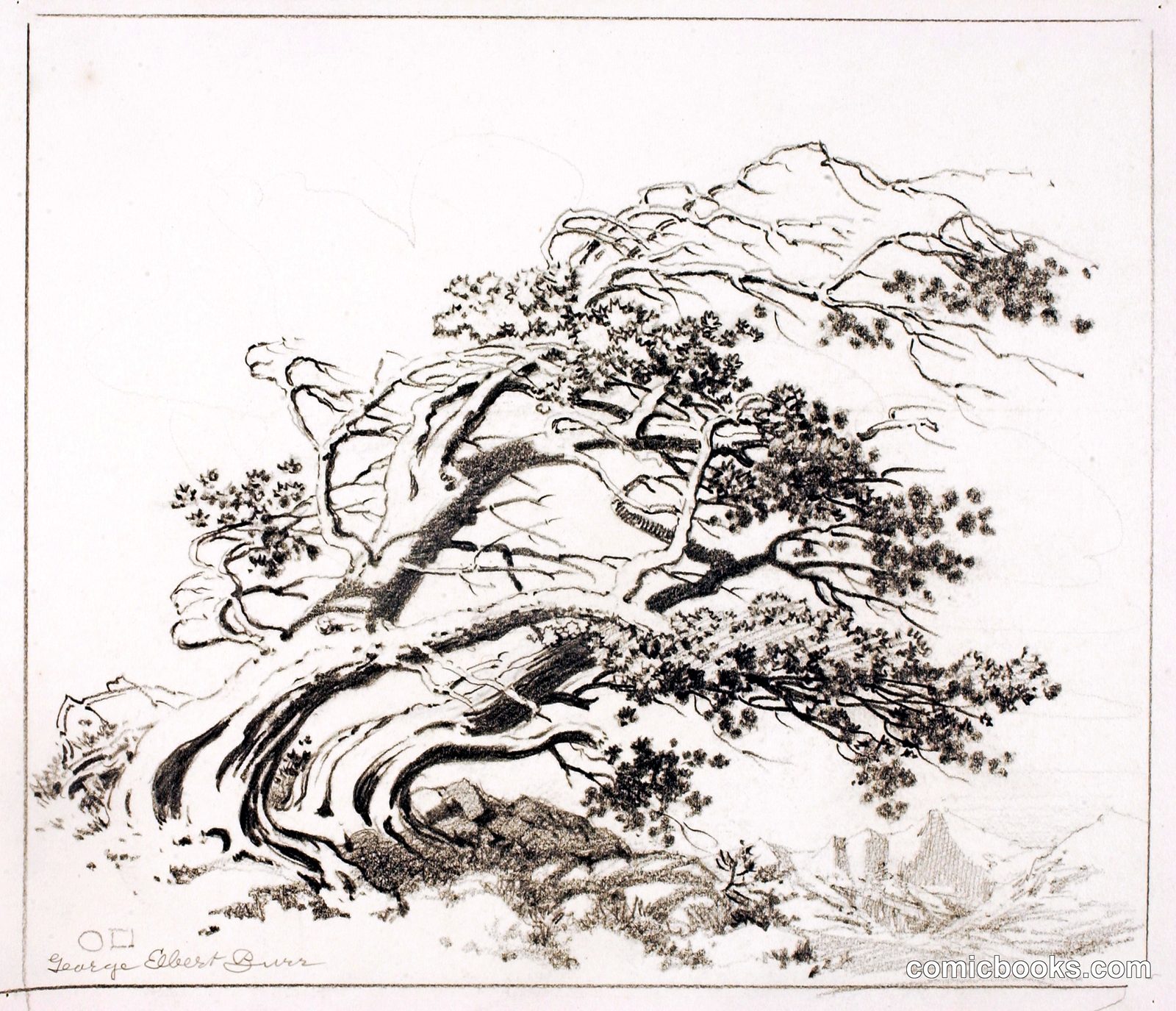 Sketch for Pines in Wind, Estes Park by George Elbert Burr, born Monroe Falls, OH 1859-died Phoenix, AZ 1939