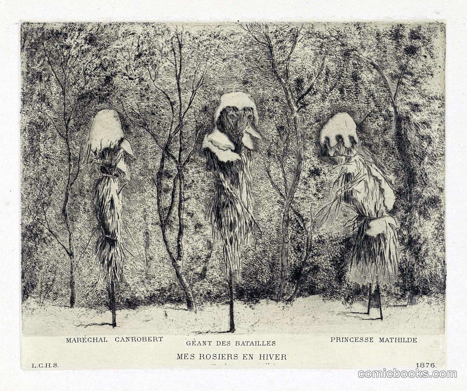 Mes Rosiers en Hiver (My Roses in Winter)