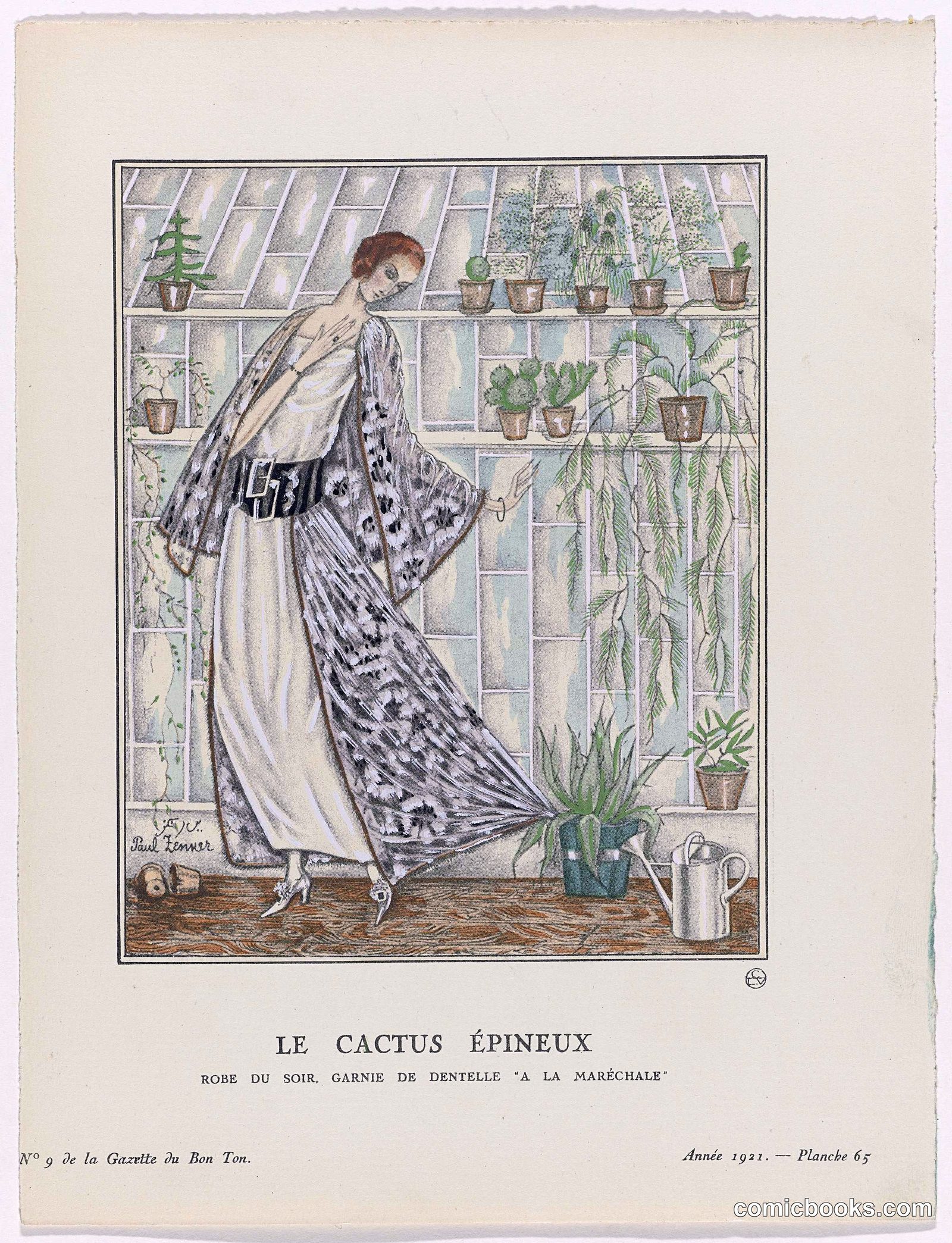 Le Cactus Épineux (The Spiny Cactus)