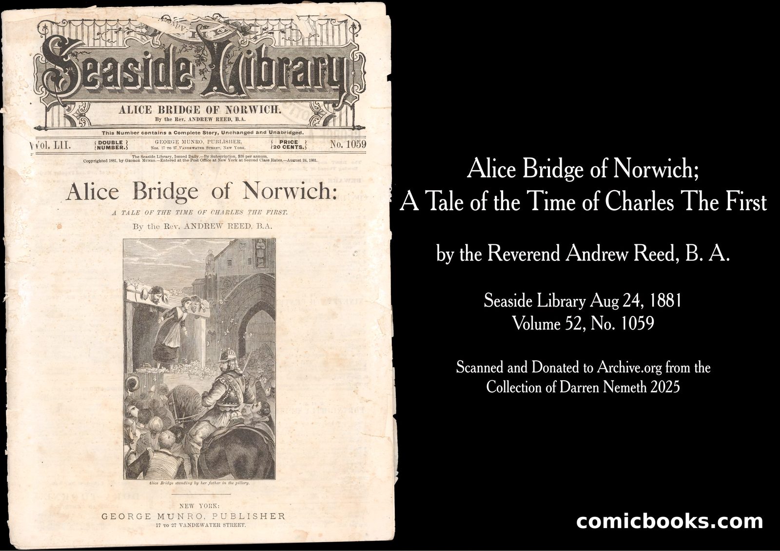 Alice Bridge of Norwich by George Munro