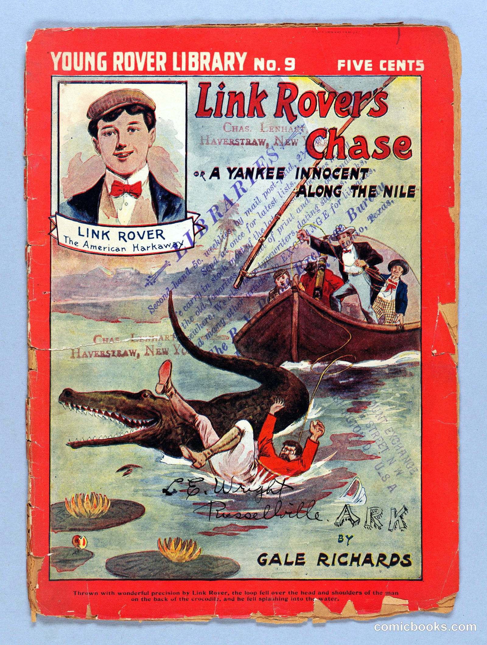 Link Rover's Chase: A Yankee Innocent Along the Nile