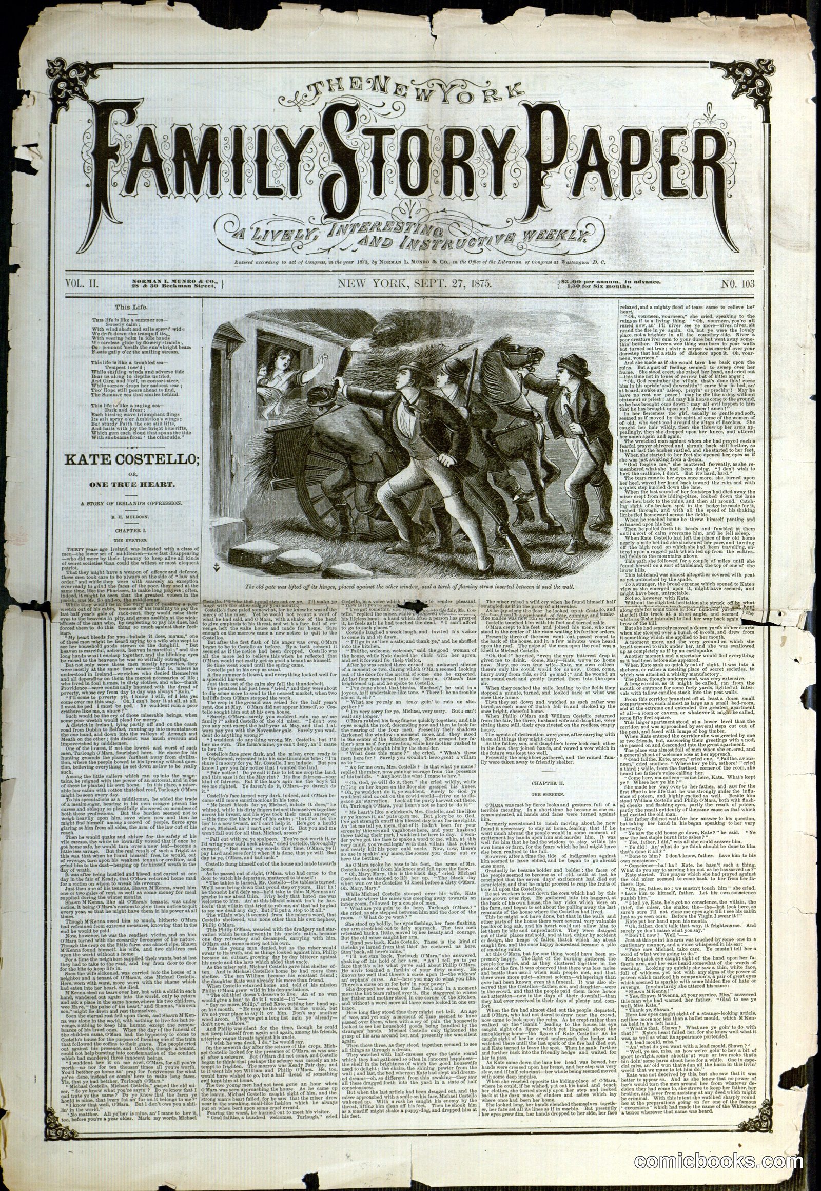 The New York Family Story Paper