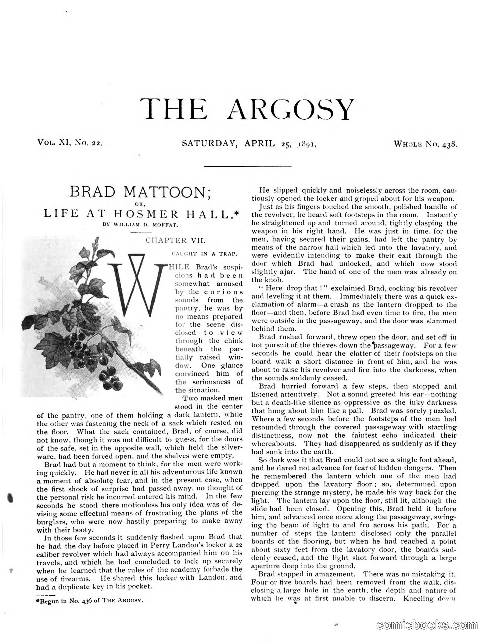 The Argosy, Vol. XI, No. 22