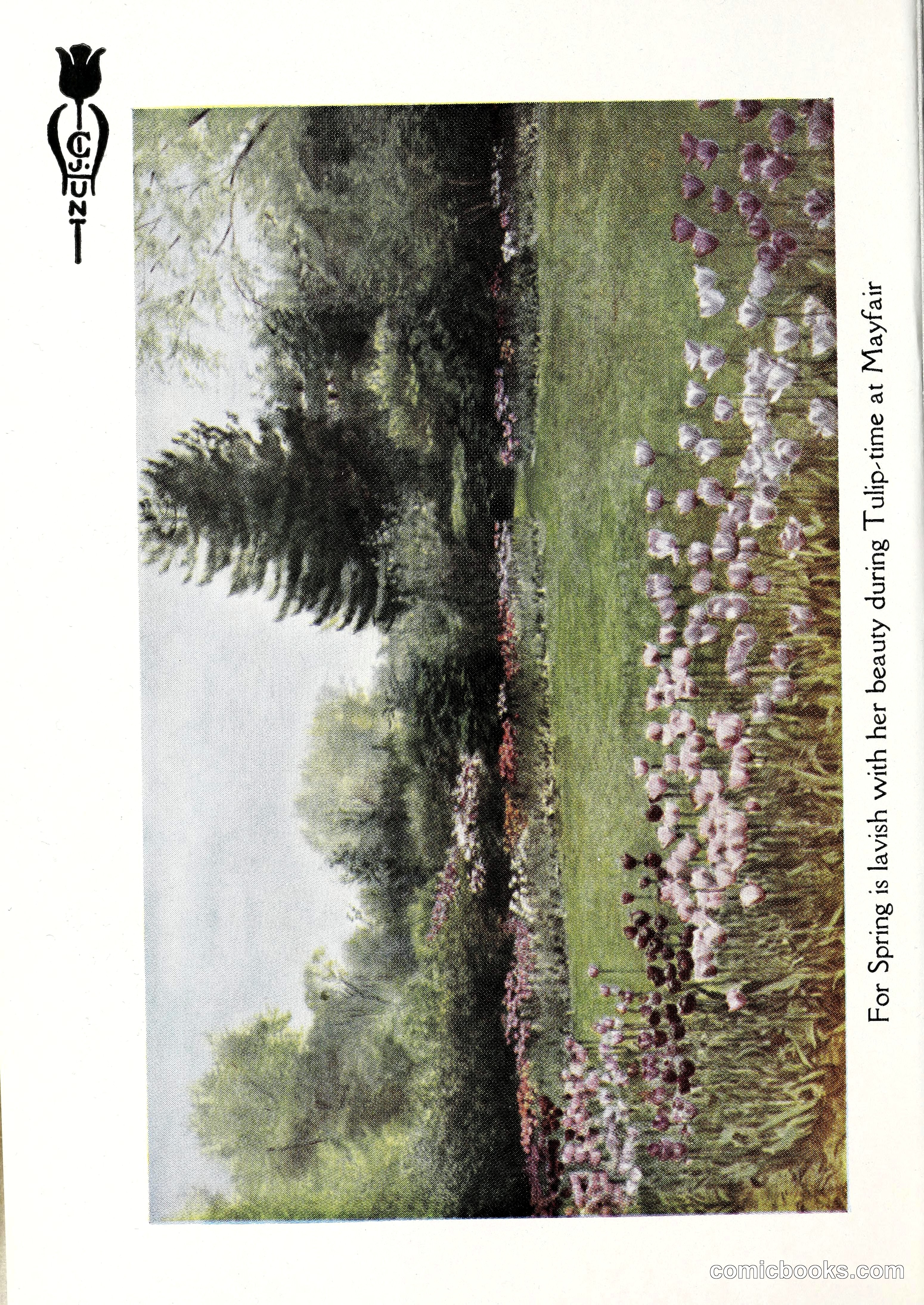 Blue Book of Bulbs, 1929