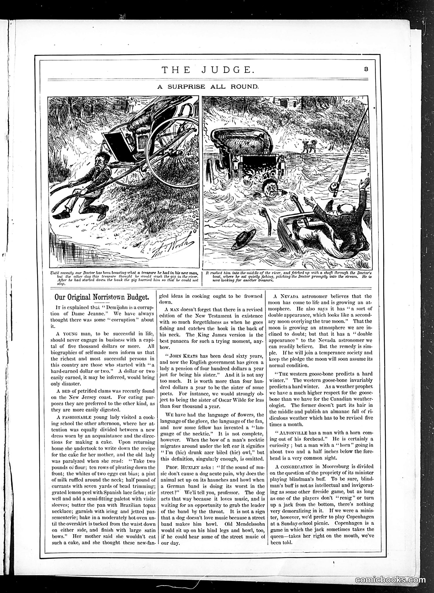 Judge — October 29, 1881 — page 3 of 16