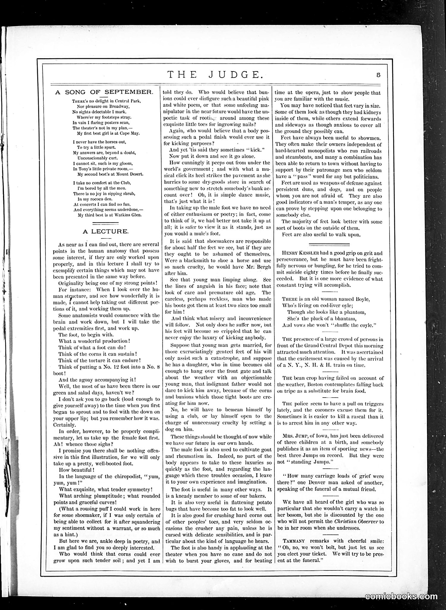 Judge — October 29, 1881 — page 5 of 16