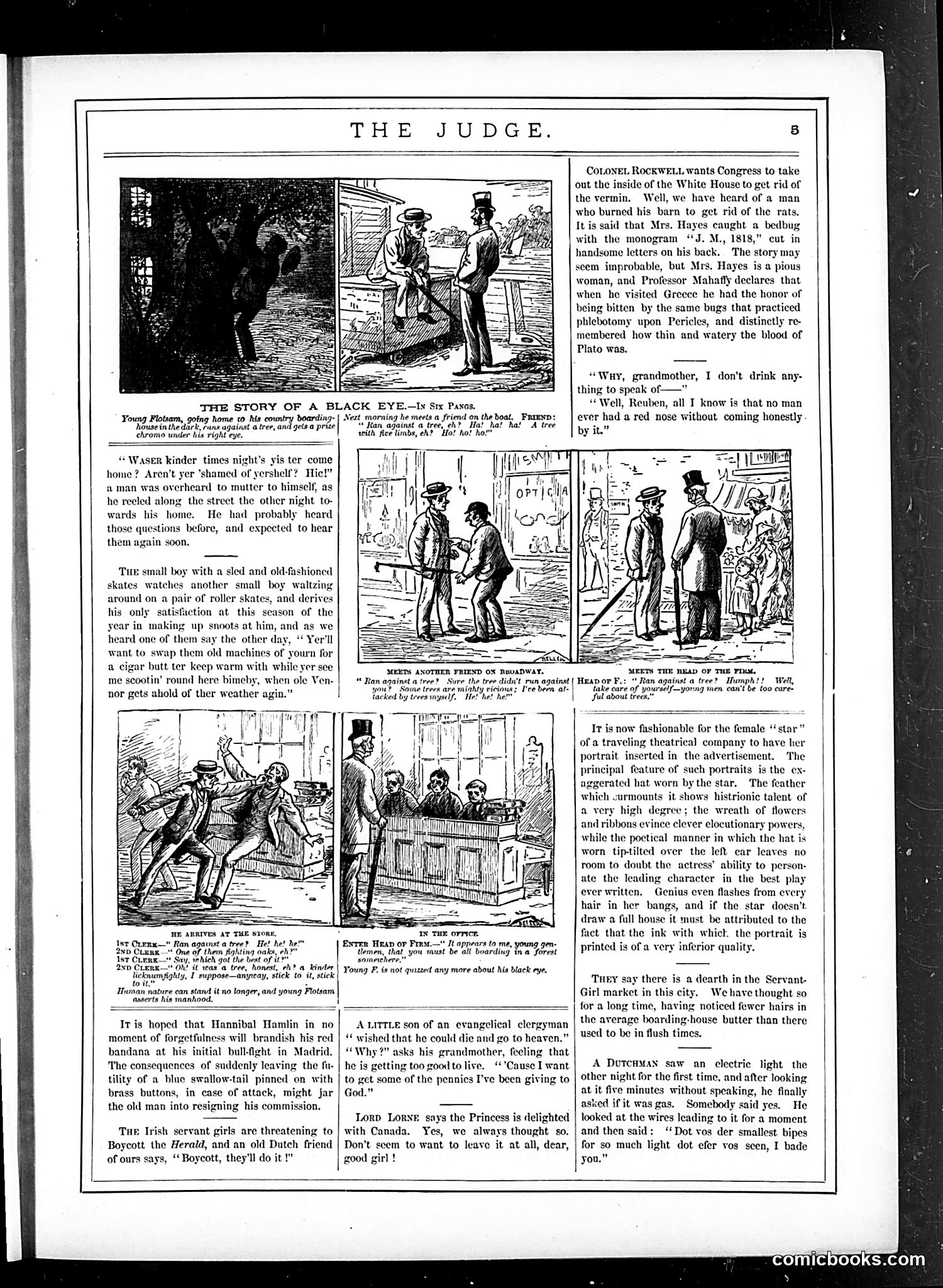 Judge — November 5, 1881 — page 5 of 16