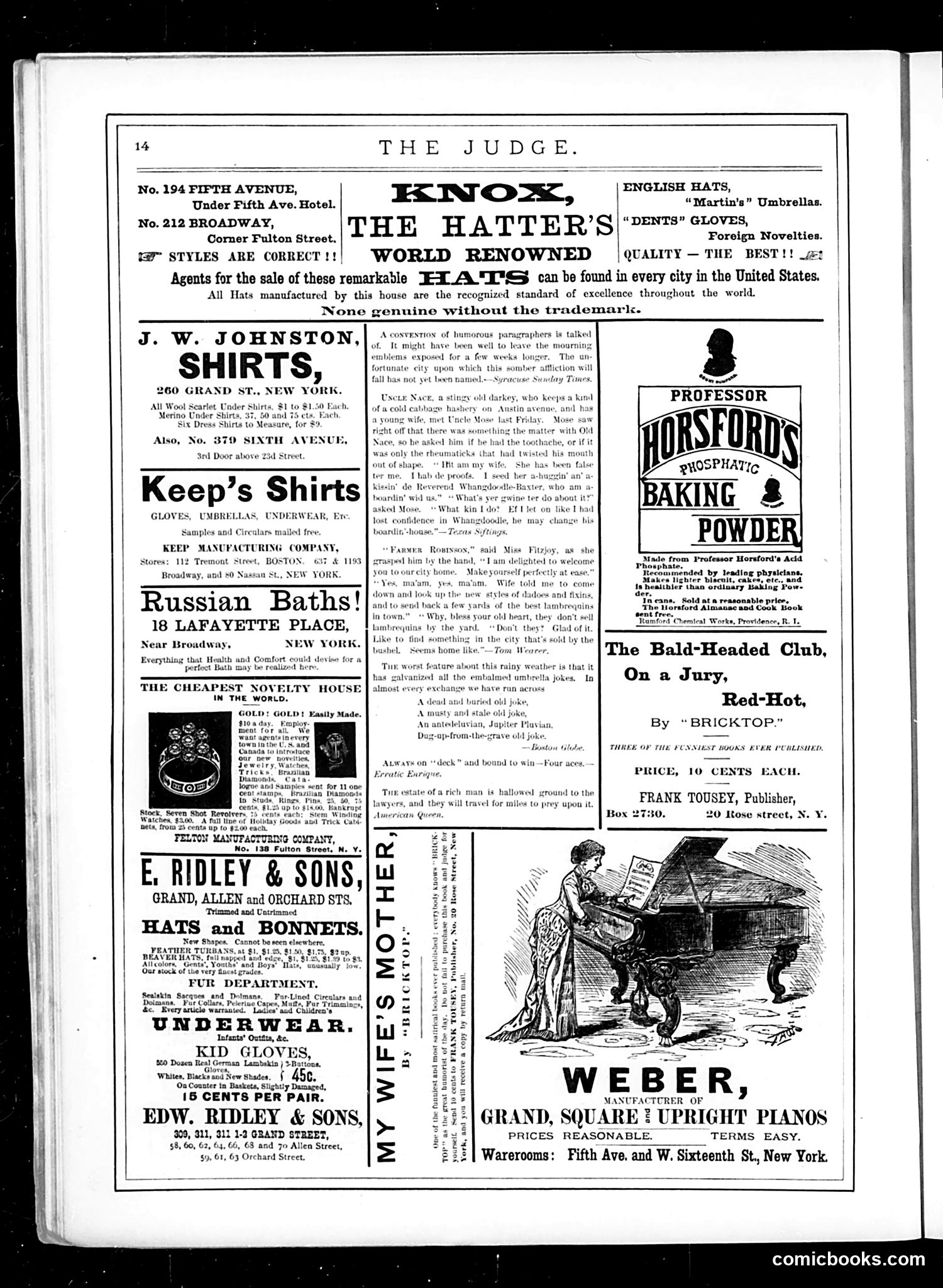 Judge — November 19, 1881 — page 14 of 16