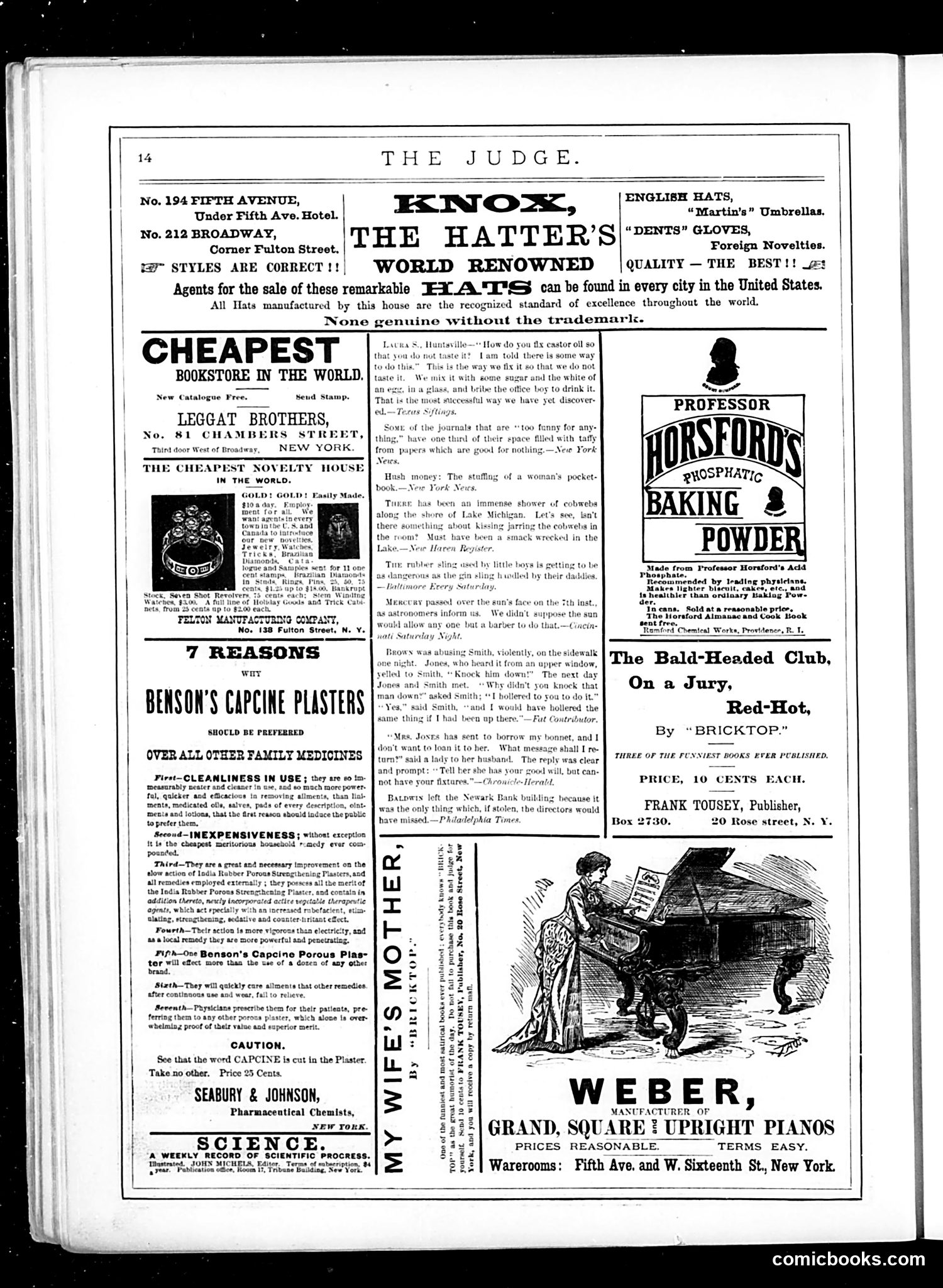 Judge — November 26, 1881 — page 14 of 16