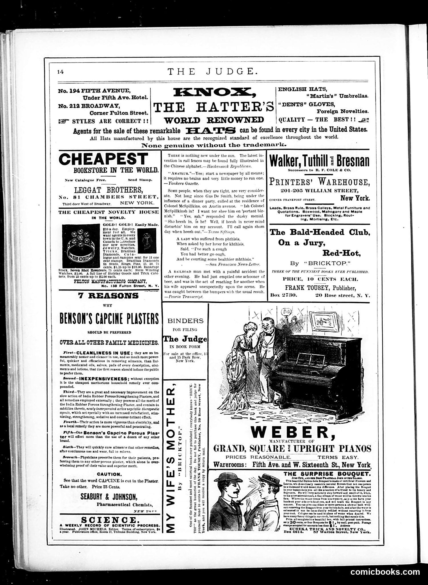 Judge — December 3, 1881 — page 14 of 16