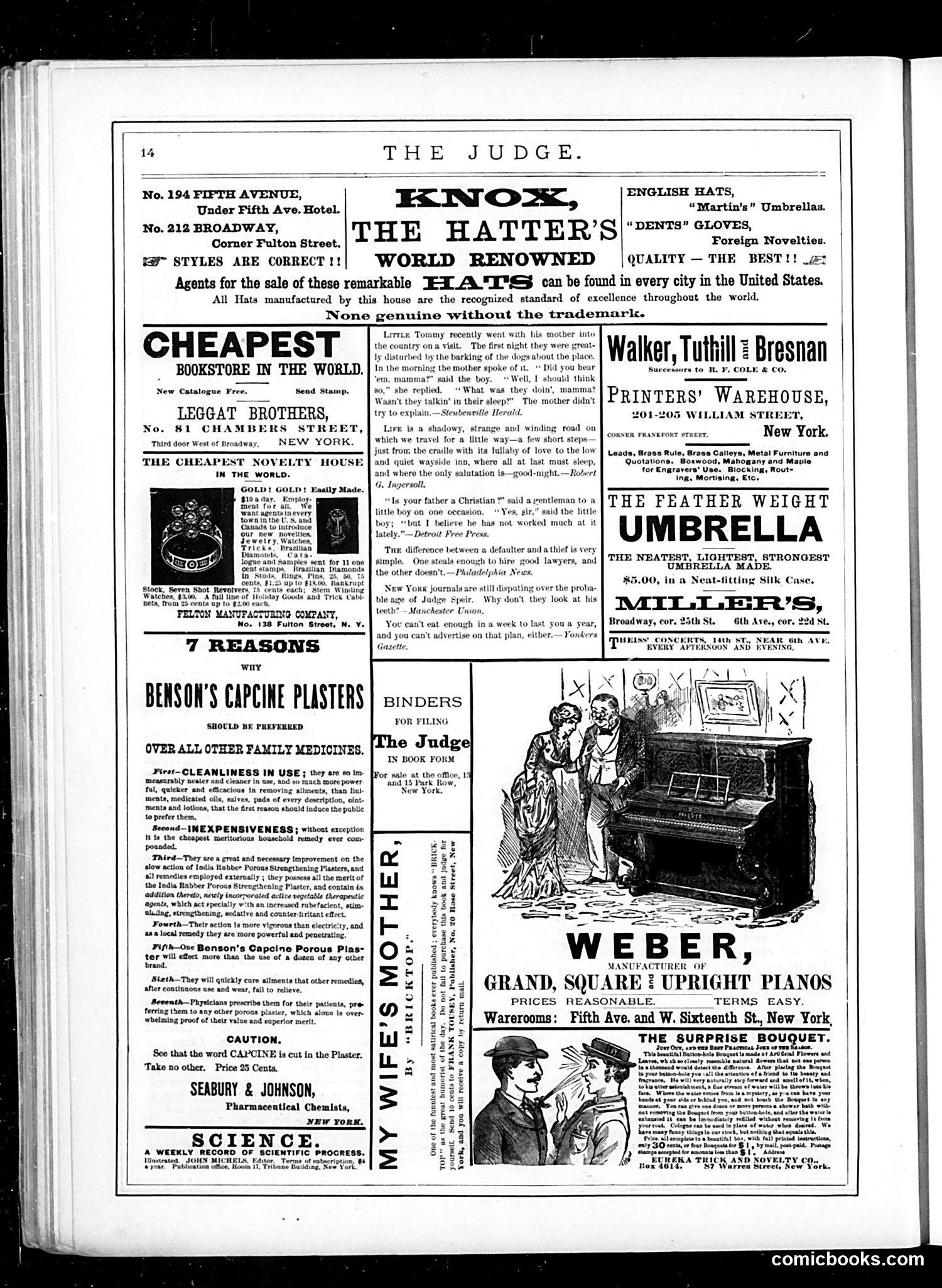 Judge — December 10, 1881 — page 14 of 16