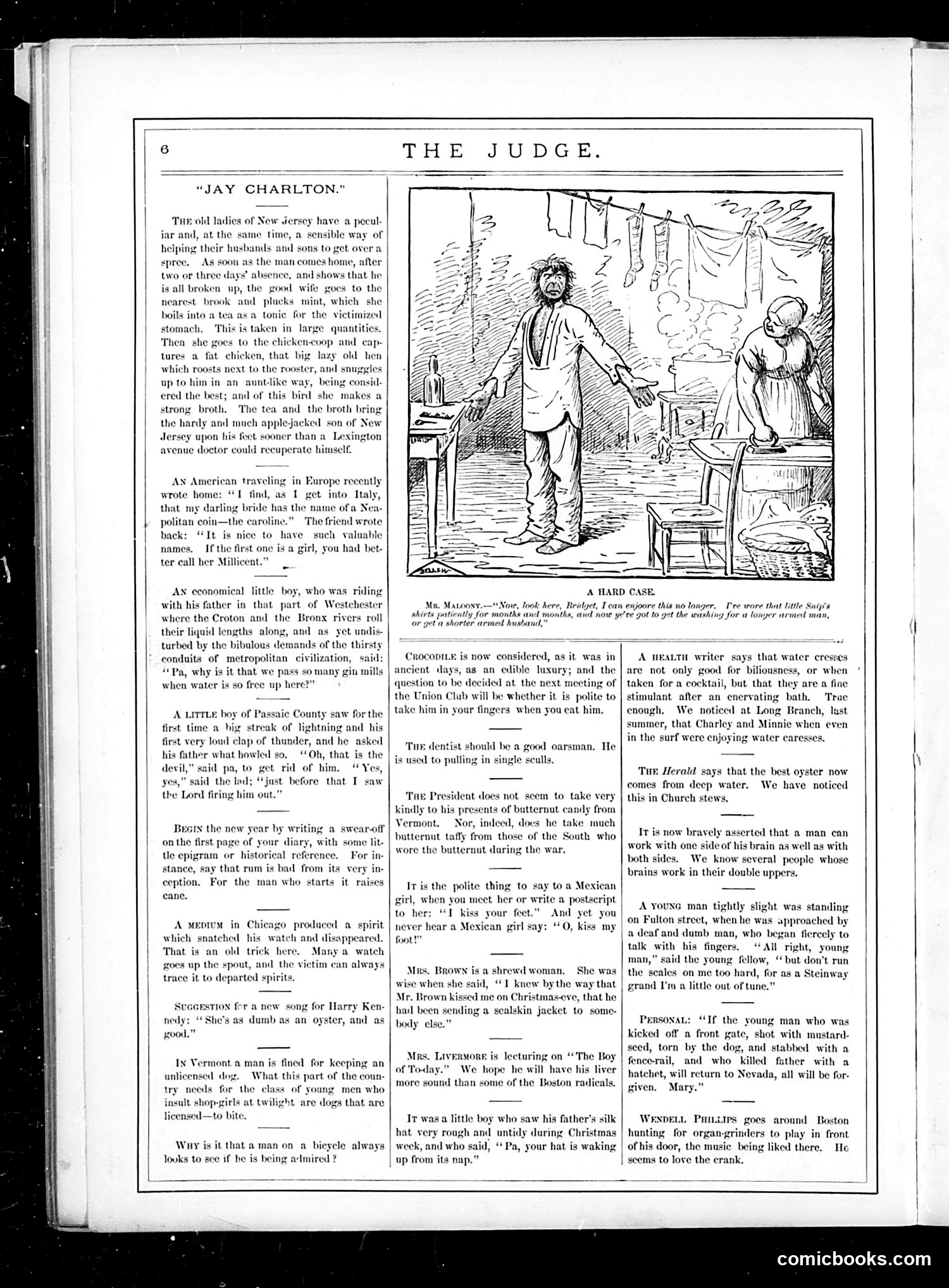 Judge — January 7, 1882 — page 8 of 18