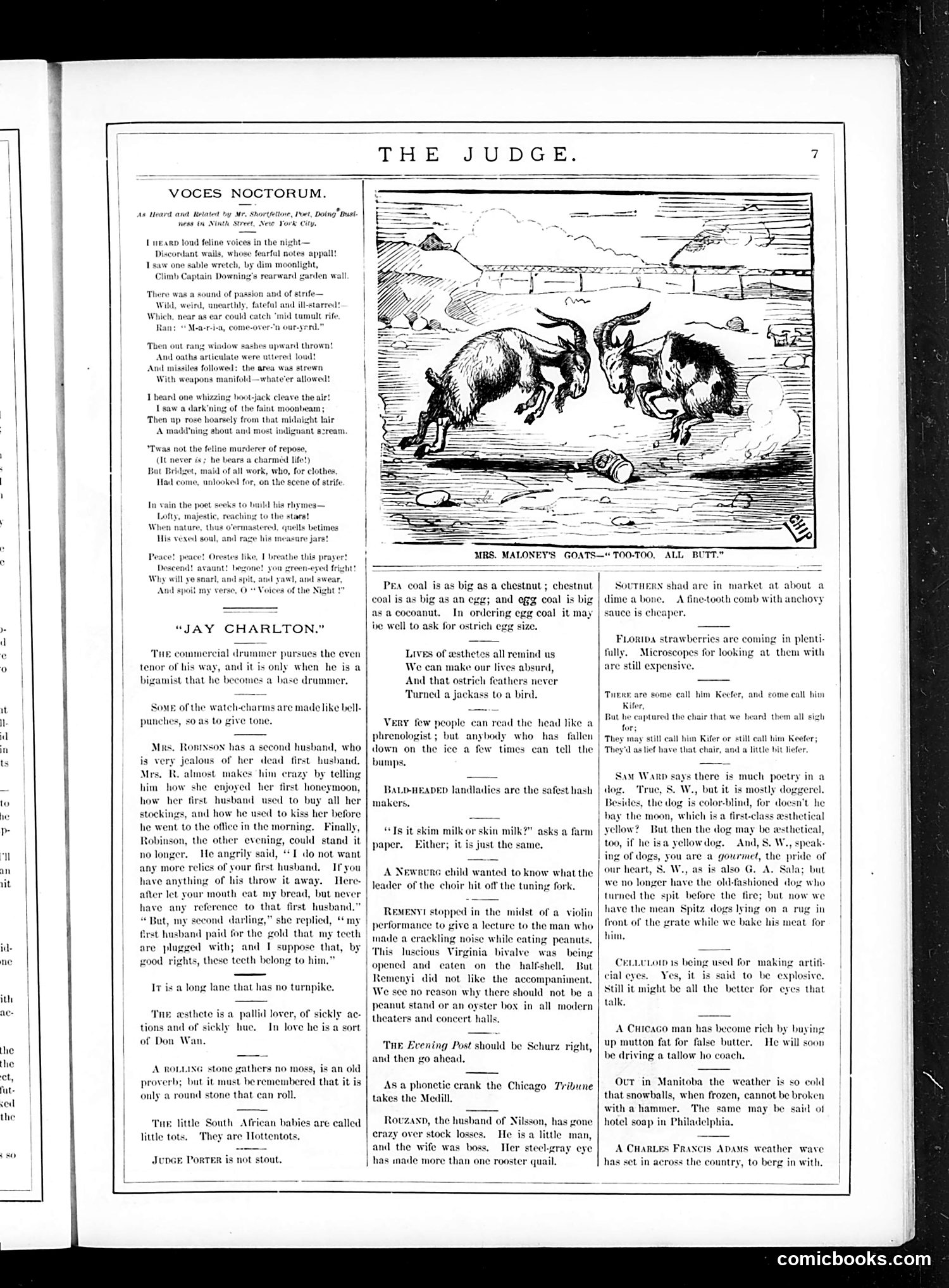 Judge — February 11, 1882 — page 7 of 16