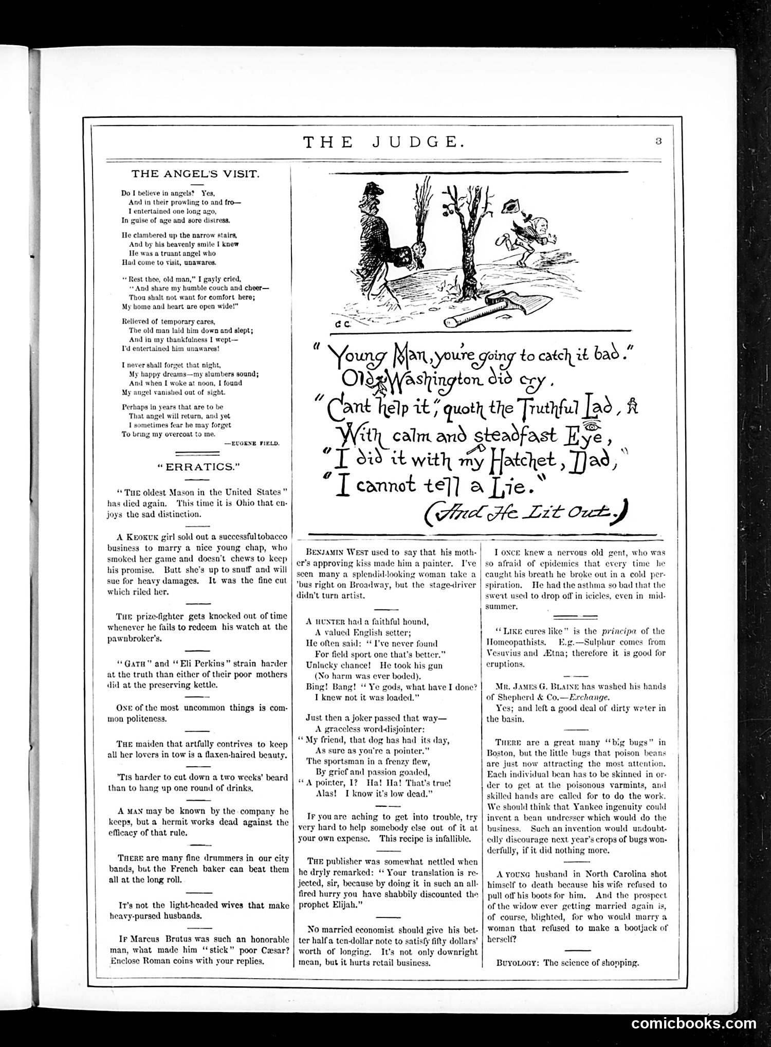 Judge — February 25, 1882 — page 3 of 16