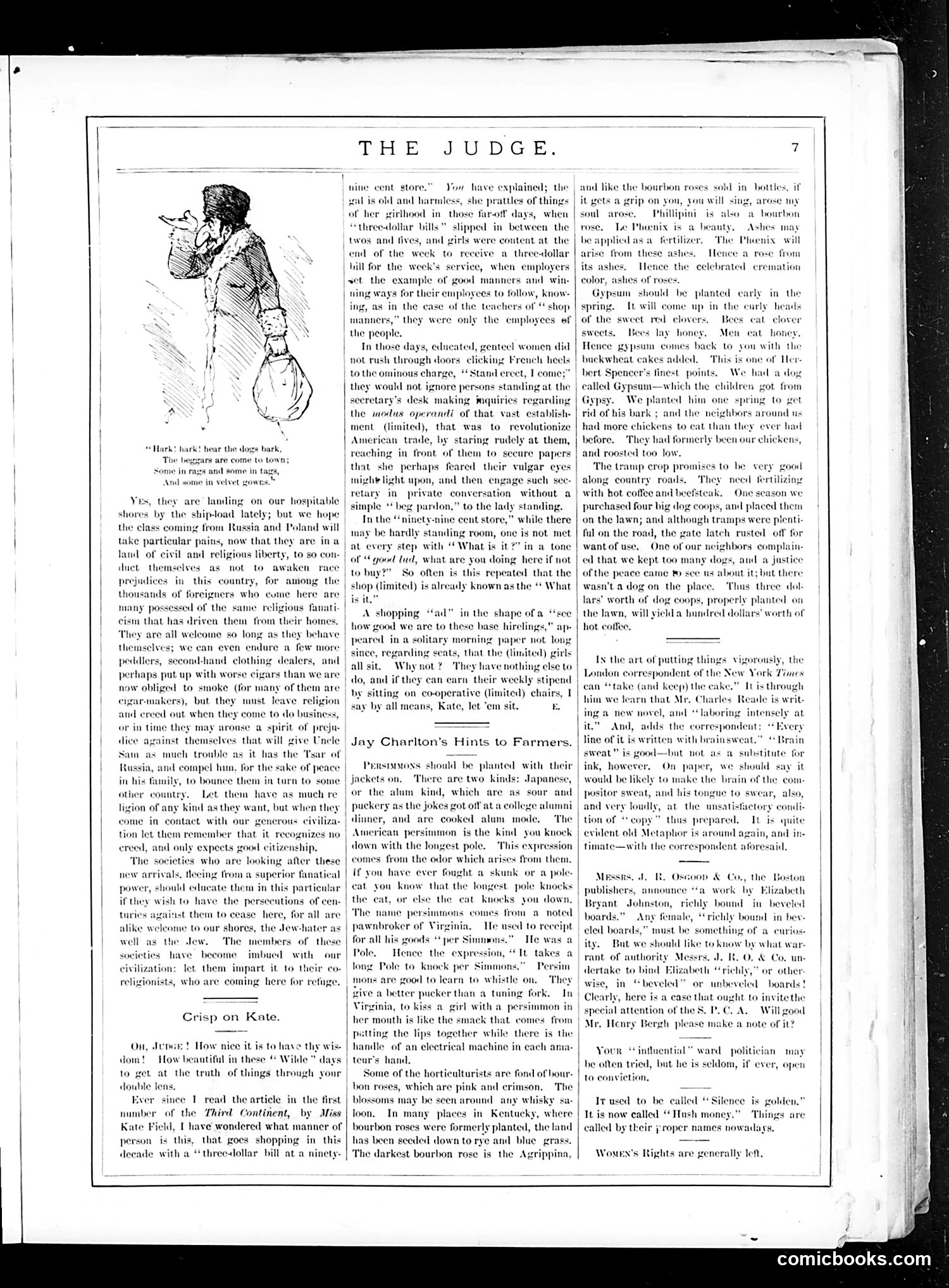 Judge — March 11, 1882 — page 7 of 16