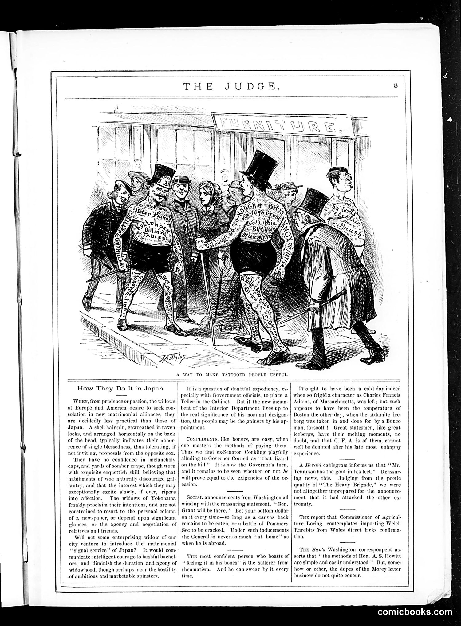 Judge — April 22, 1882 — page 5 of 17