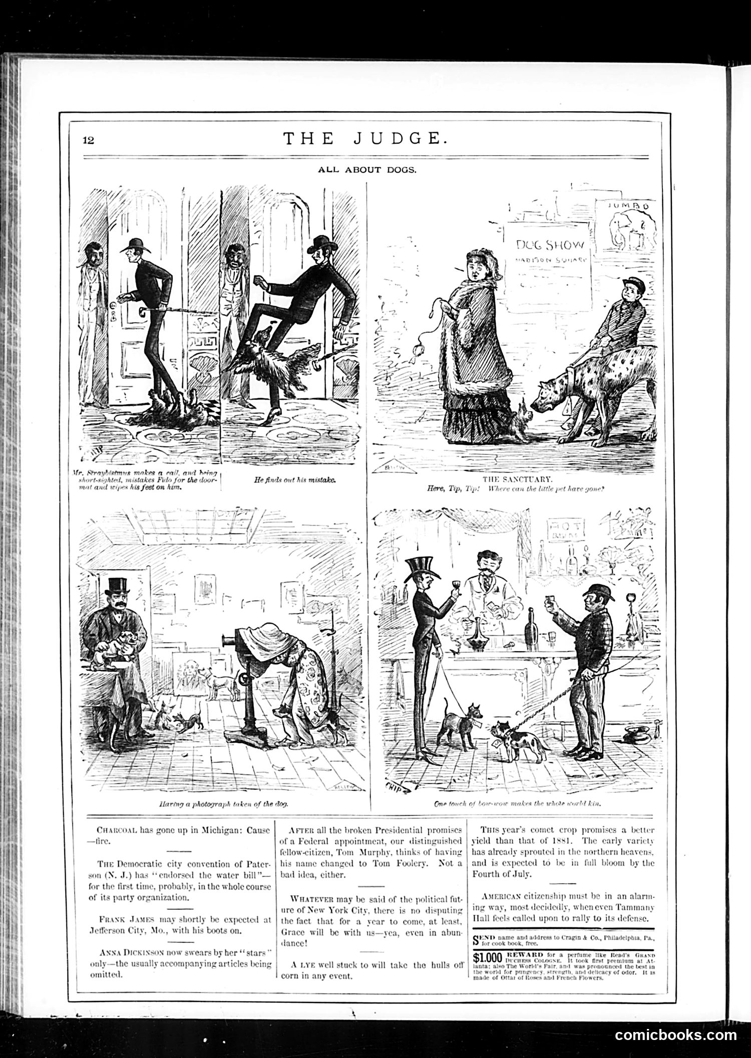 Judge — April 29, 1882 — page 16 of 24