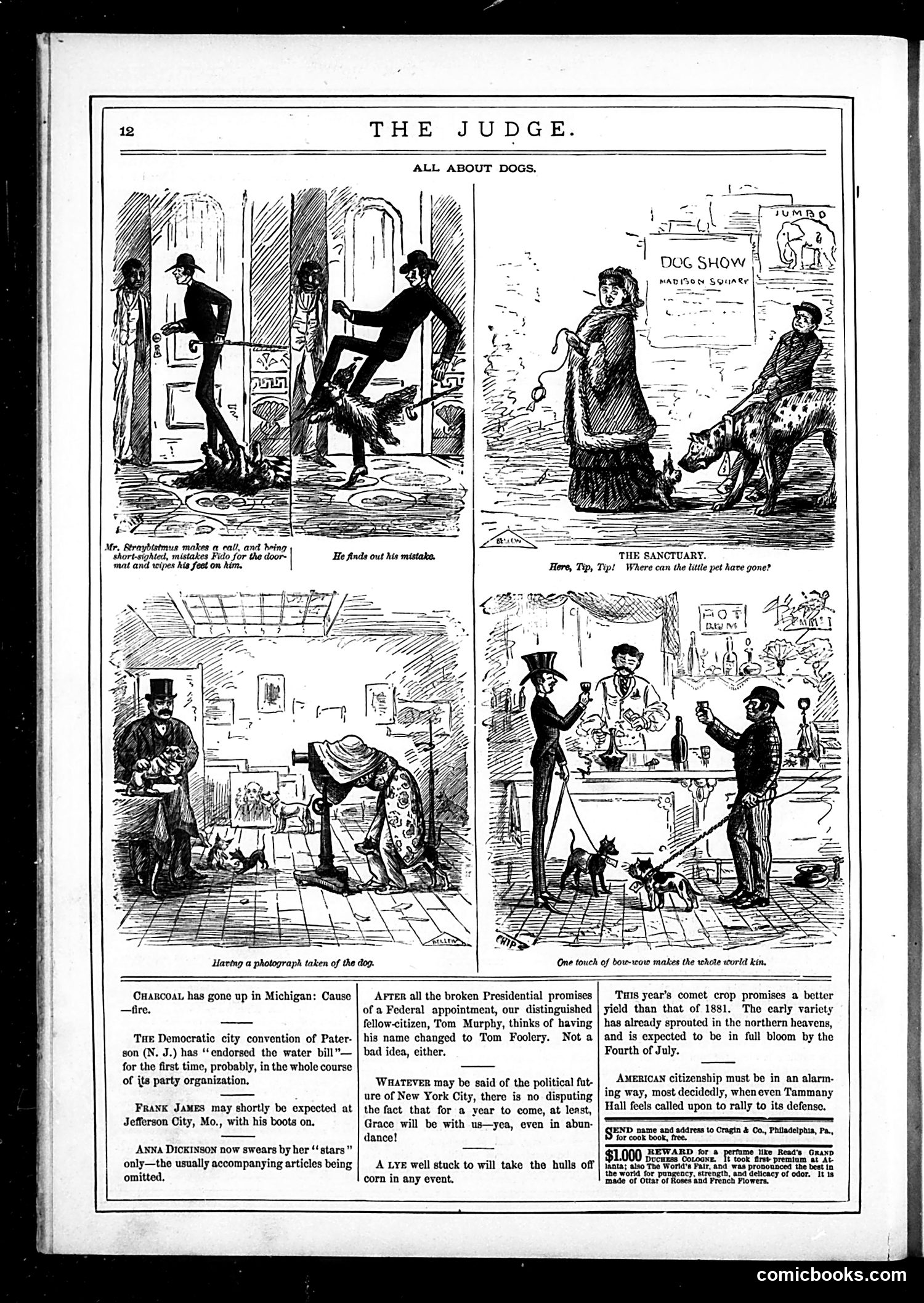 Judge — April 29, 1882 — page 20 of 24