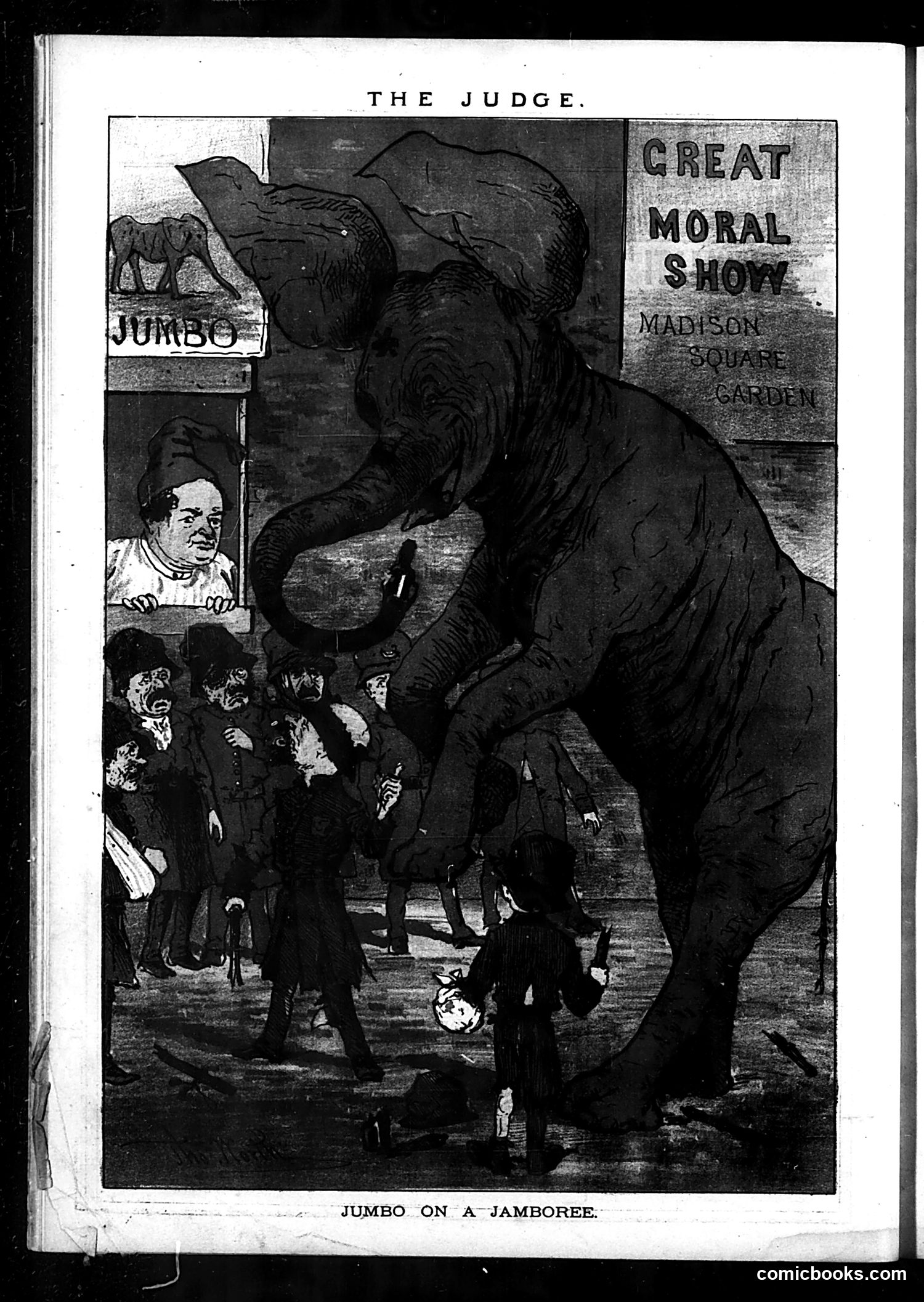 Judge — April 29, 1882 — page 24 of 24