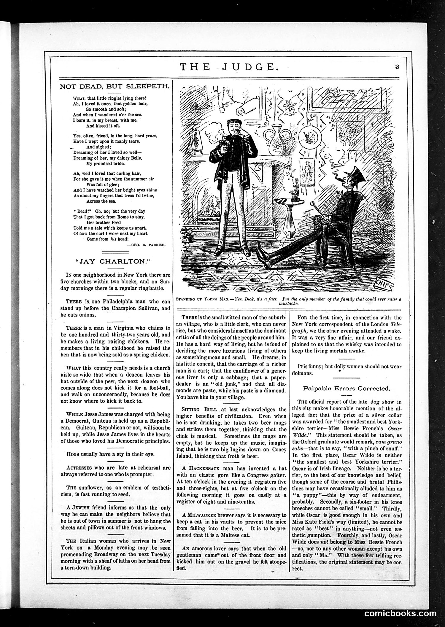 Judge — May 6, 1882 — page 3 of 16