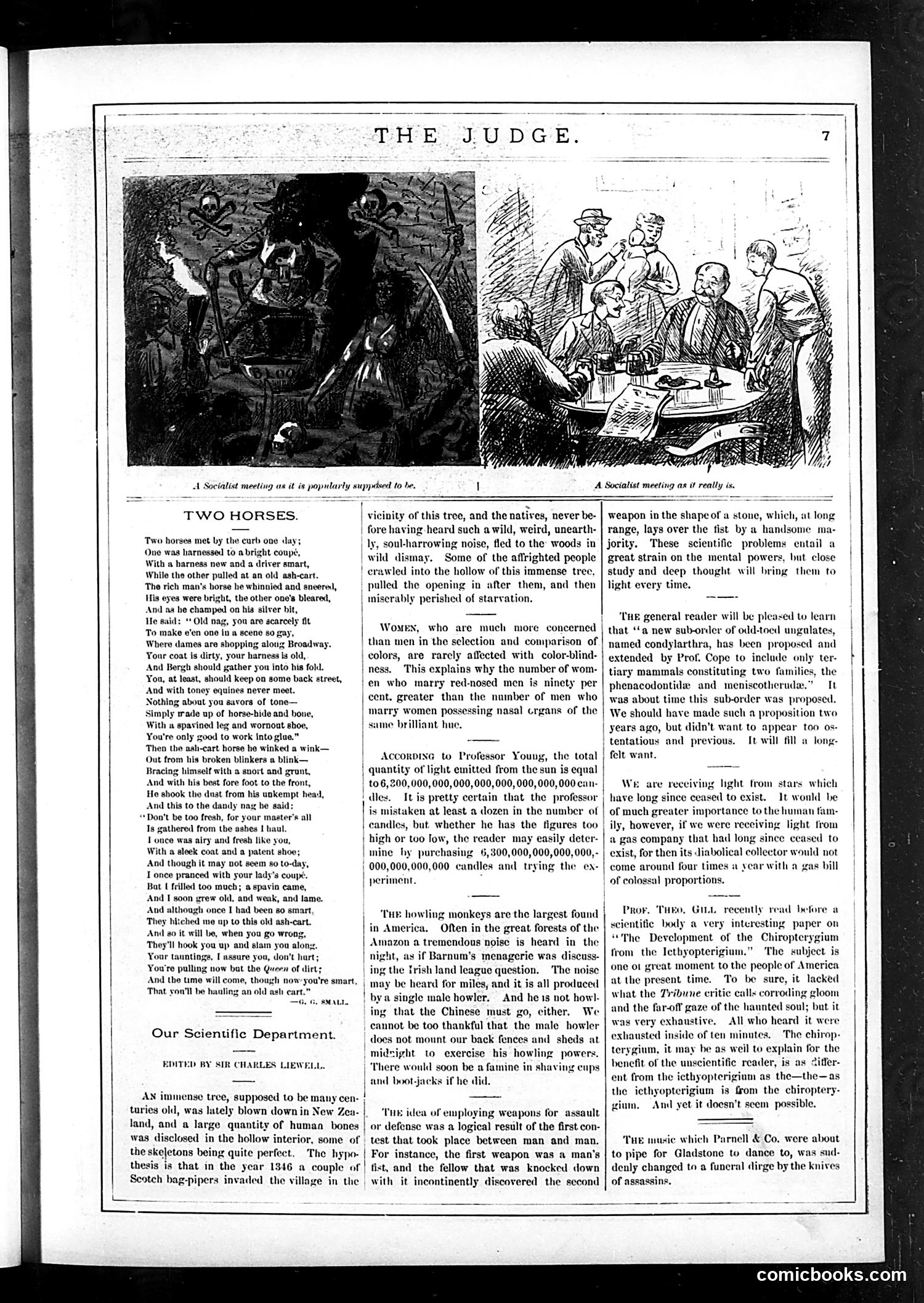 Judge — May 20, 1882 — page 7 of 16
