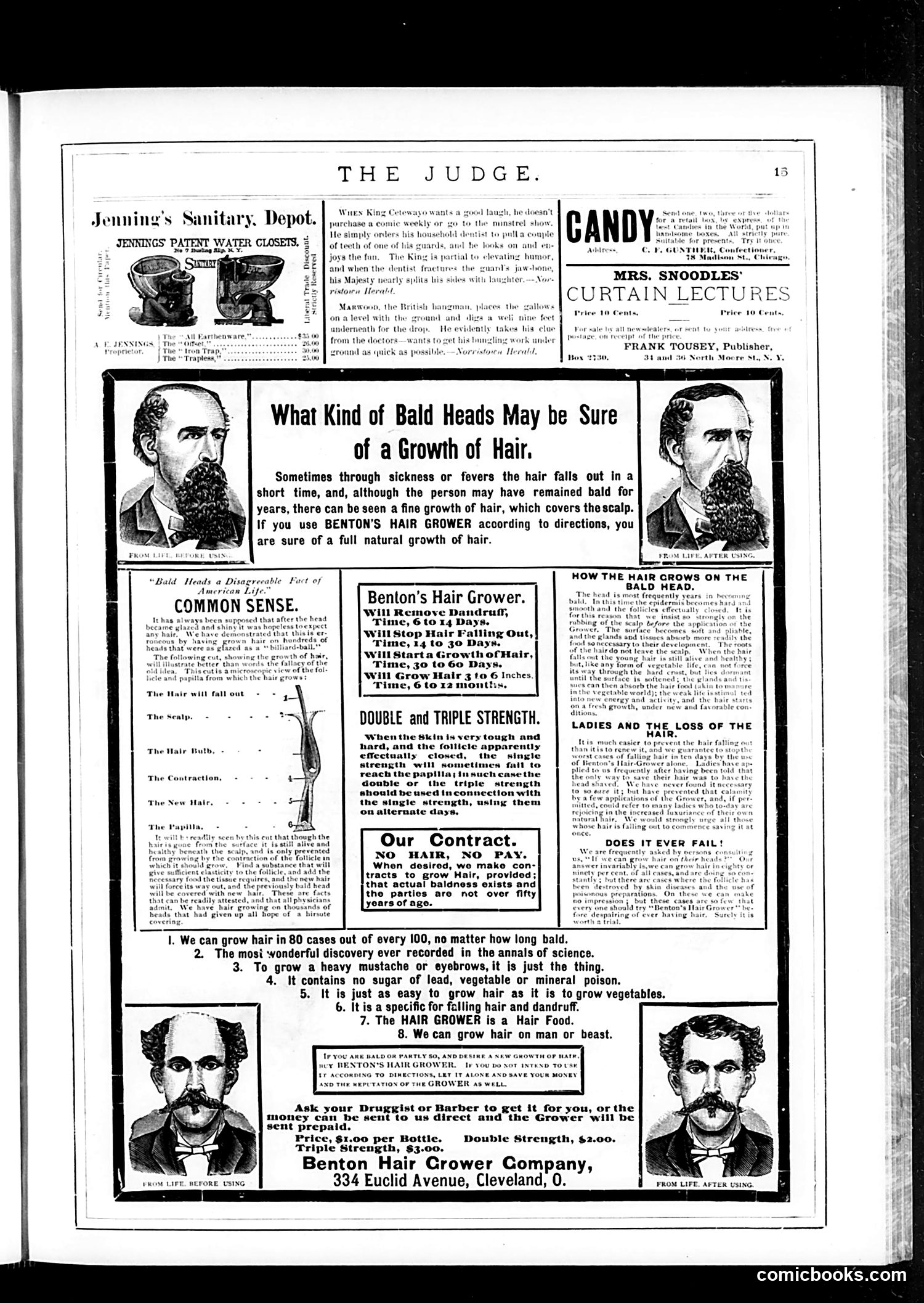 Judge — June 10, 1882 — page 15 of 16