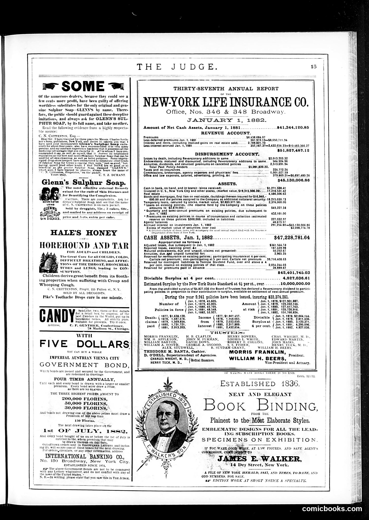 Judge — June 24, 1882 — page 15 of 16