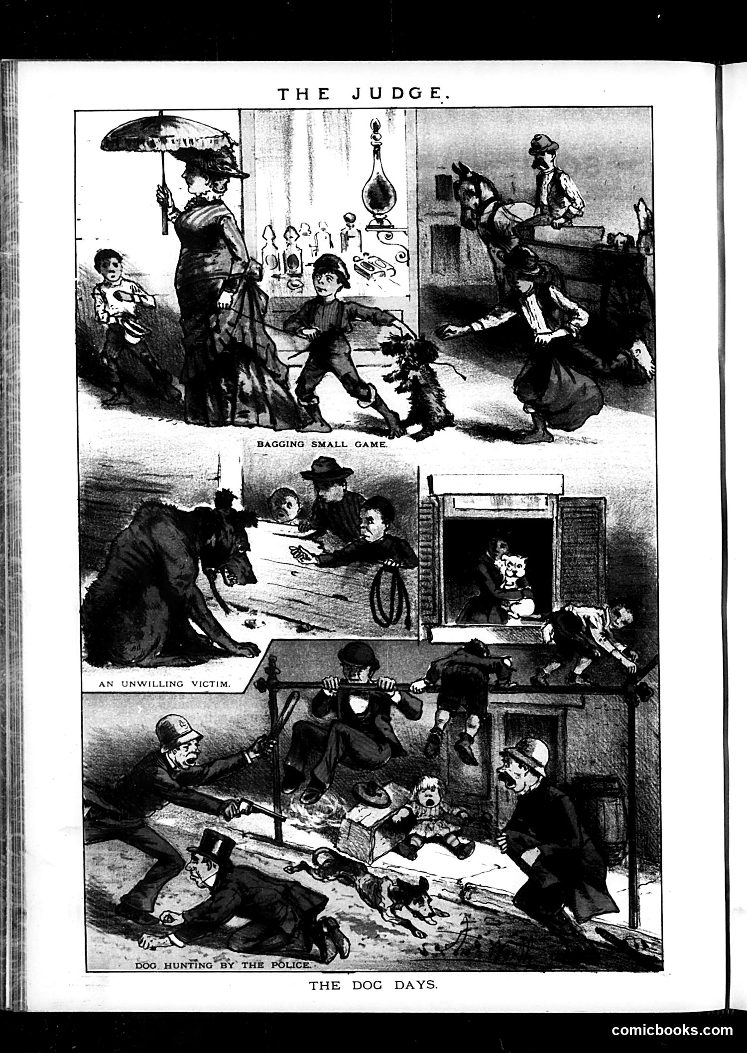Judge — June 24, 1882 — page 16 of 16
