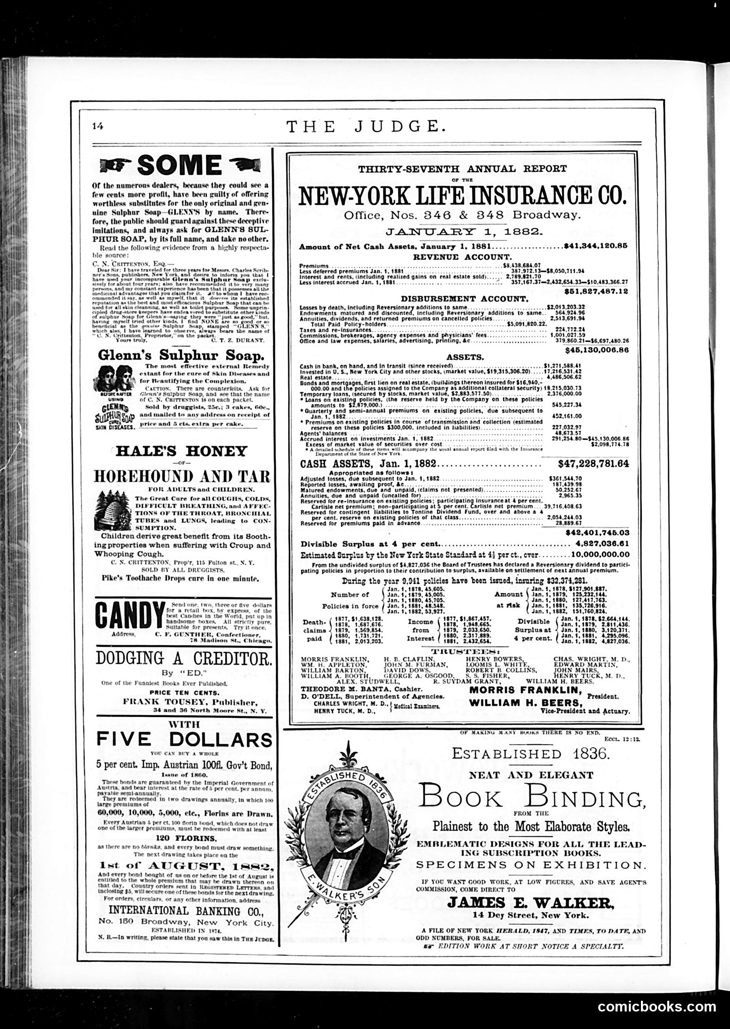 Judge — July 8, 1882 — page 14 of 16