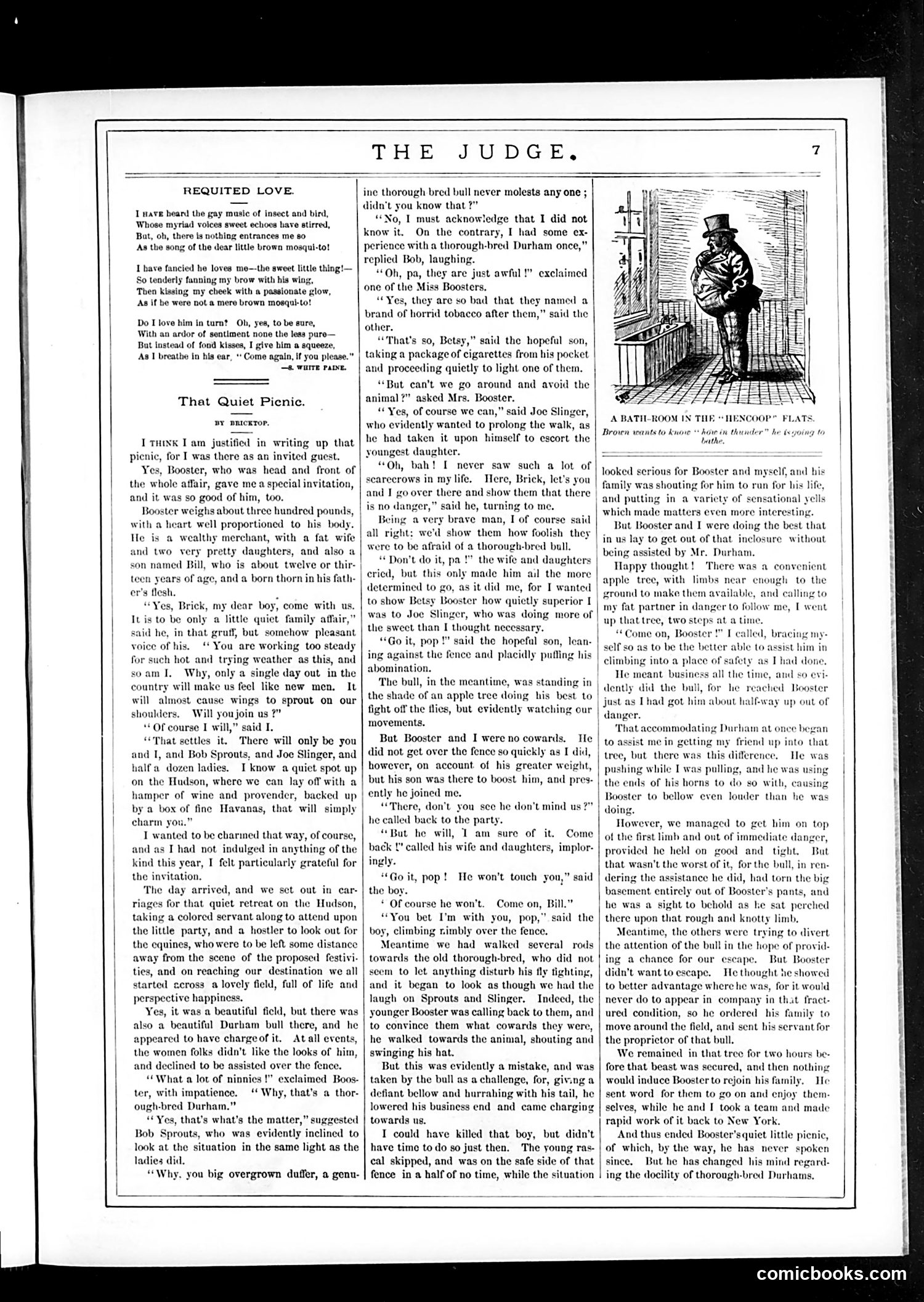 Judge — July 22, 1882 — page 7 of 16