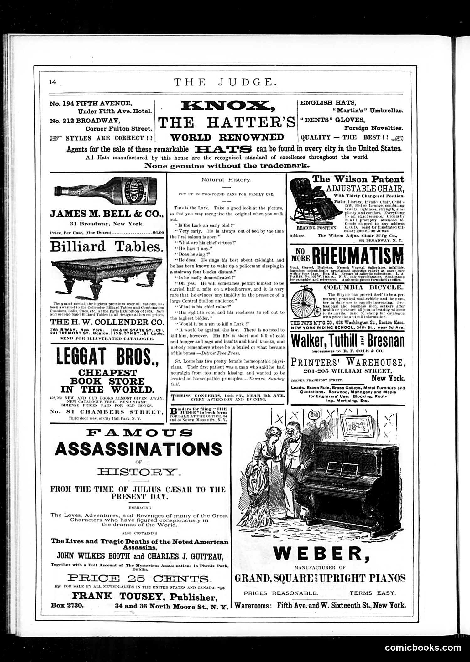 Judge — July 29, 1882 — page 14 of 16