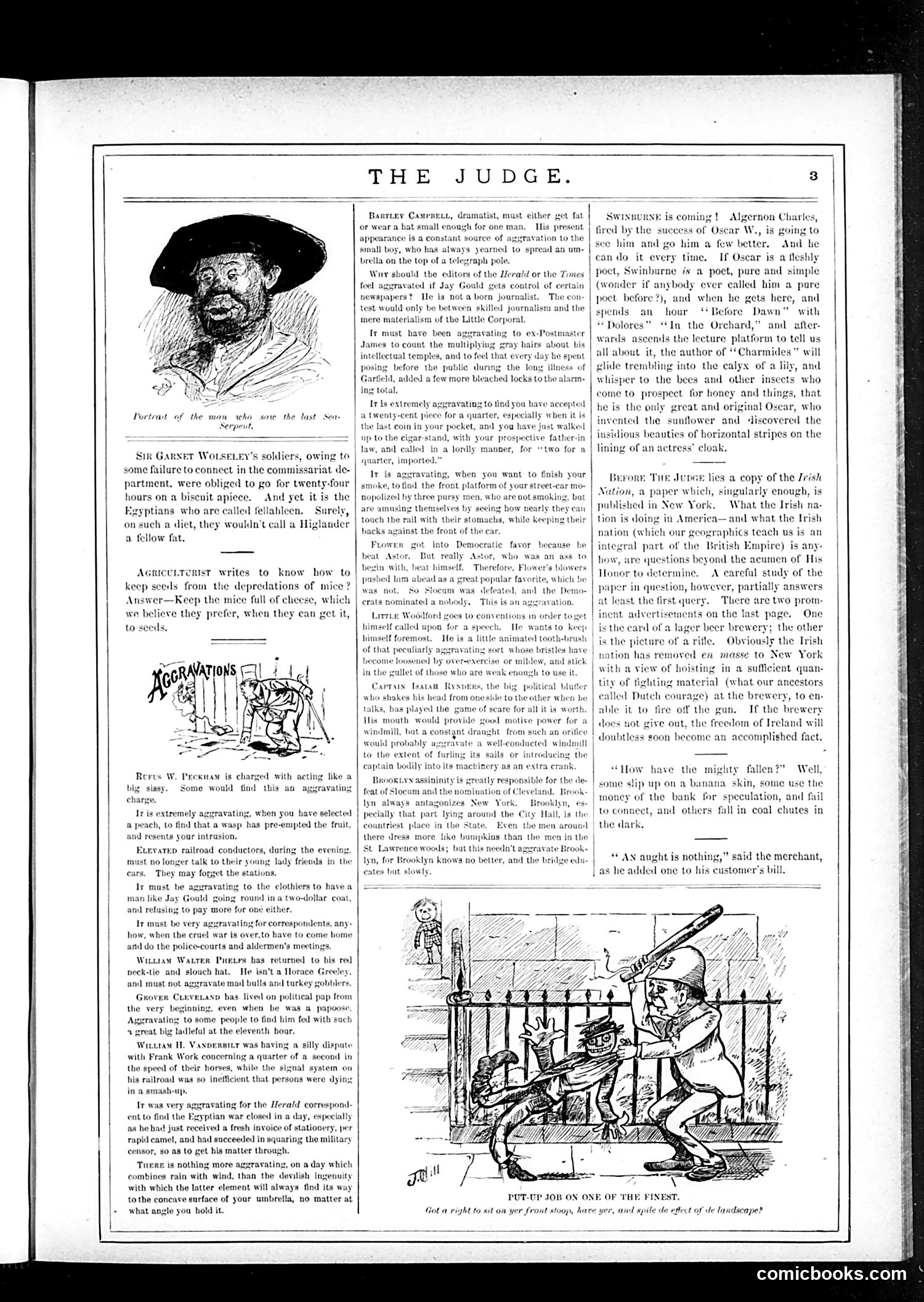 Judge — October 7, 1882 — page 3 of 16