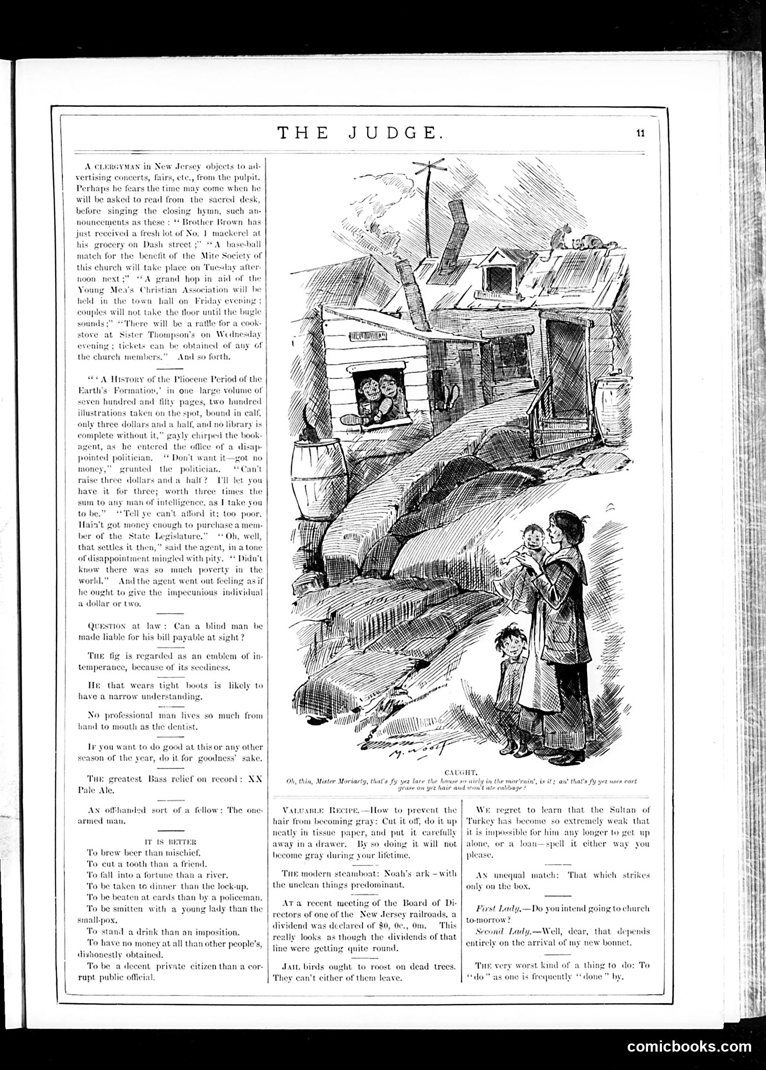 Judge — November 11, 1882 — page 11 of 16