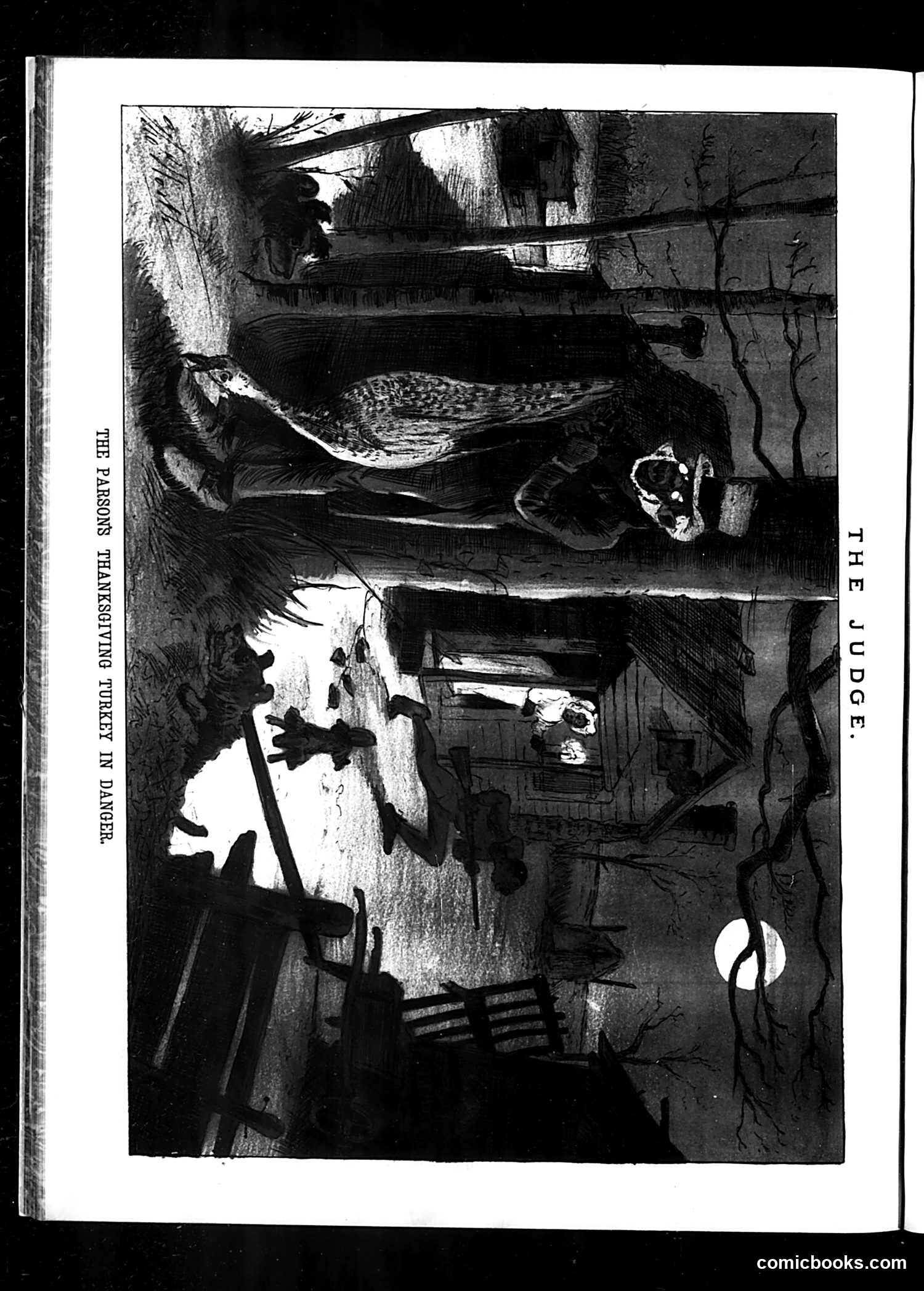 Judge — December 2, 1882 — page 20 of 20