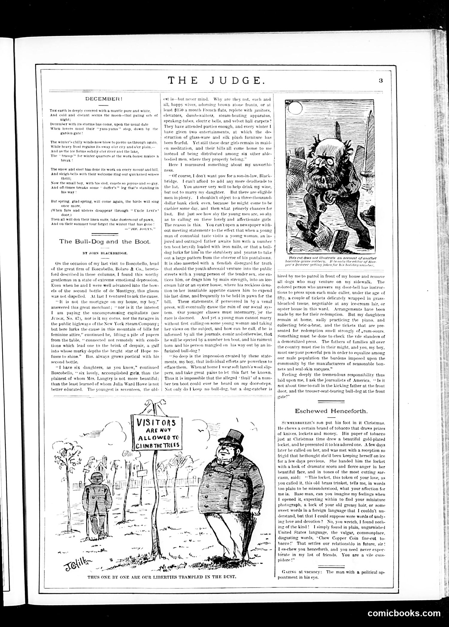Judge — December 16, 1882 — page 3 of 16