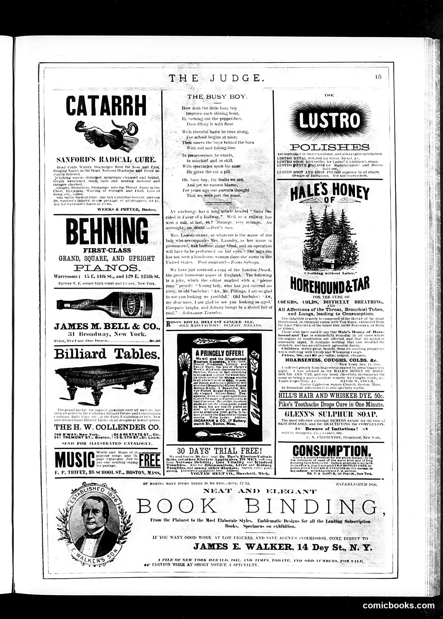 Judge — December 30, 1882 — page 15 of 16