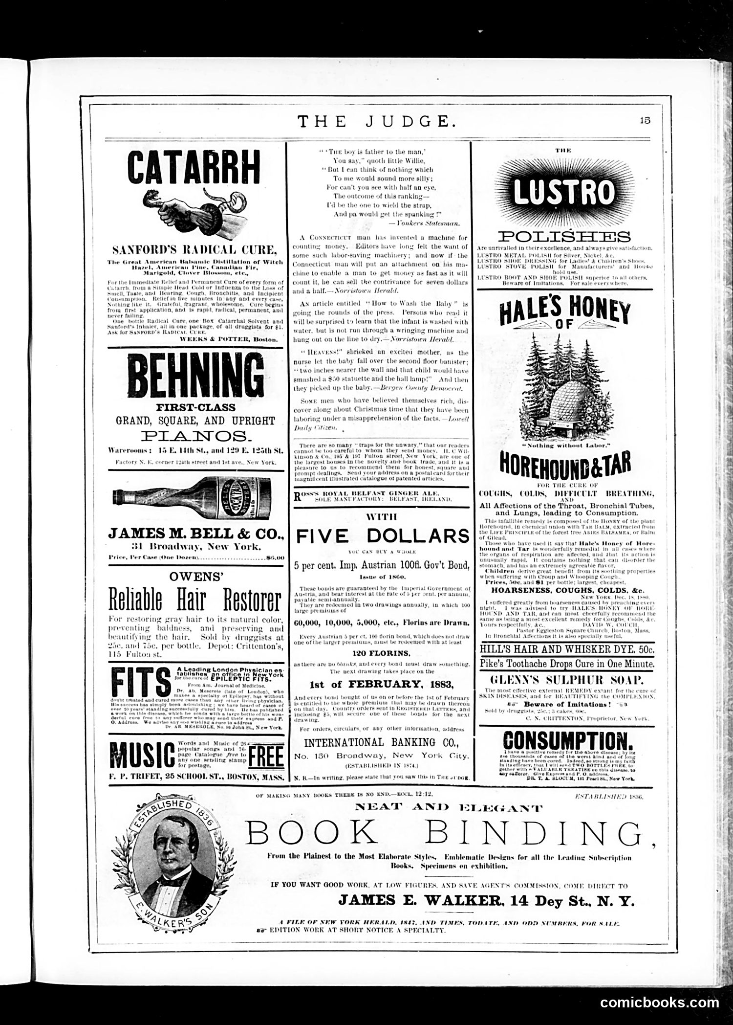 Judge — January 6, 1883 — page 15 of 16